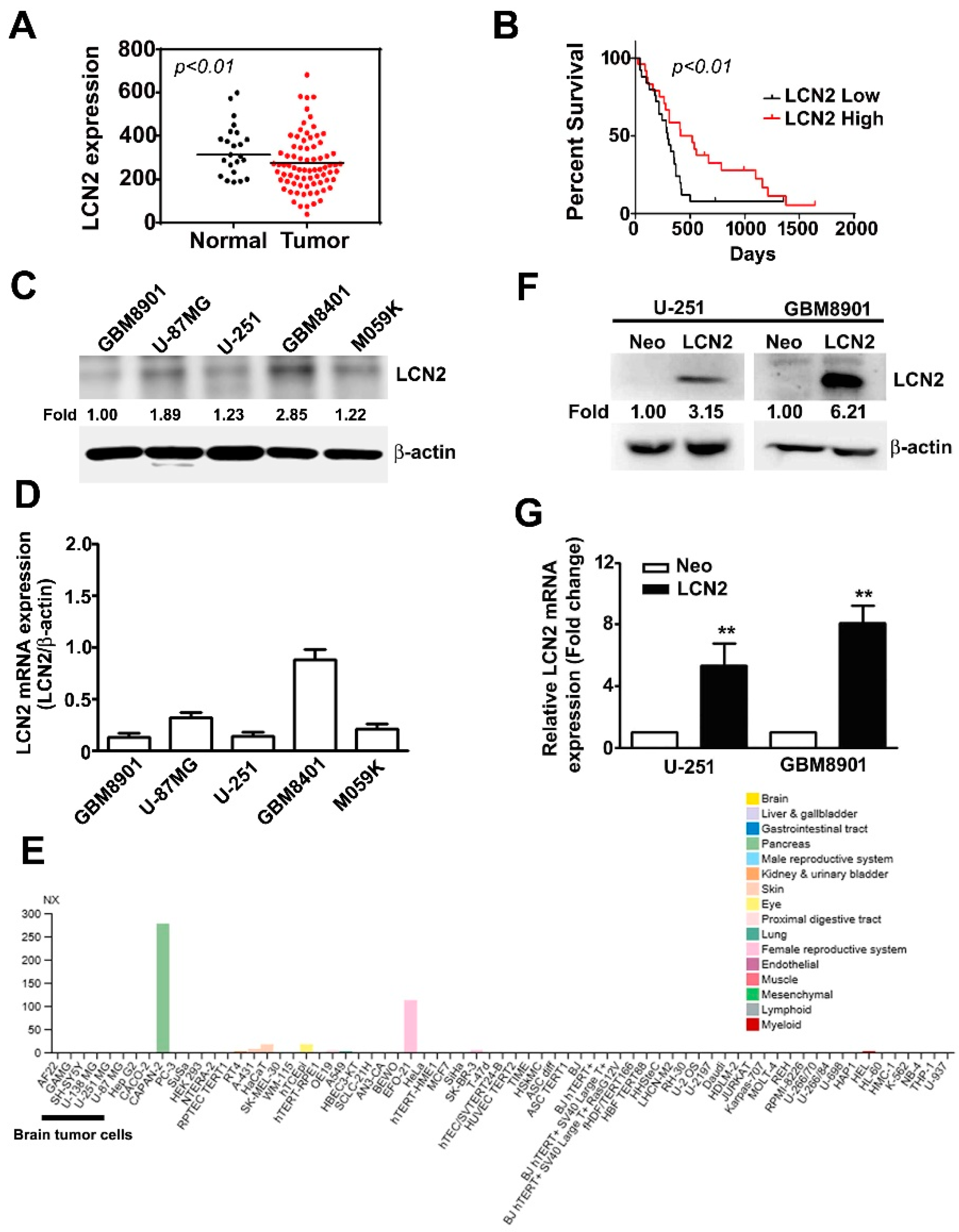 Biology 10 00390 g001 Biology 10 00390 g001