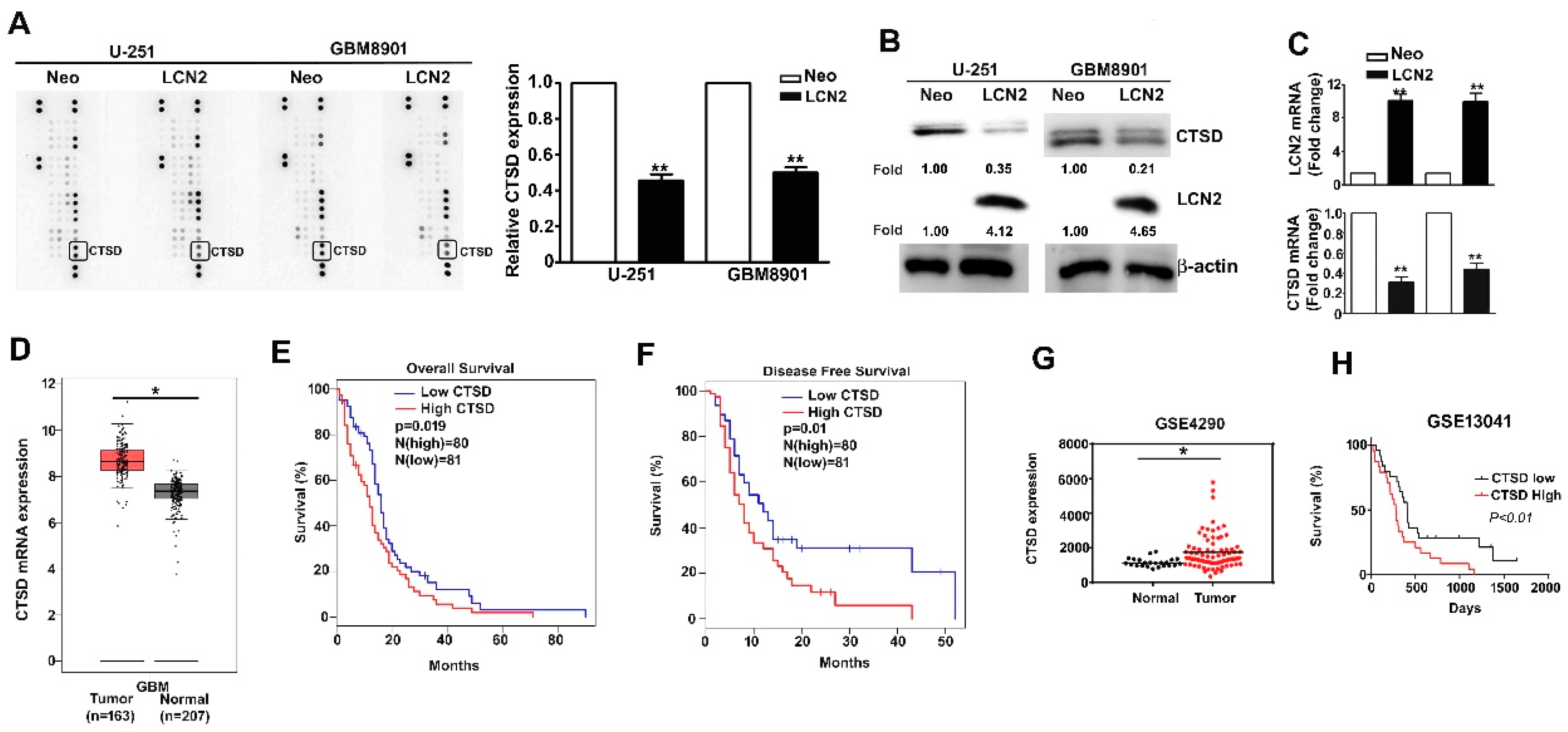 Biology 10 00390 g004 Biology 10 00390 g004