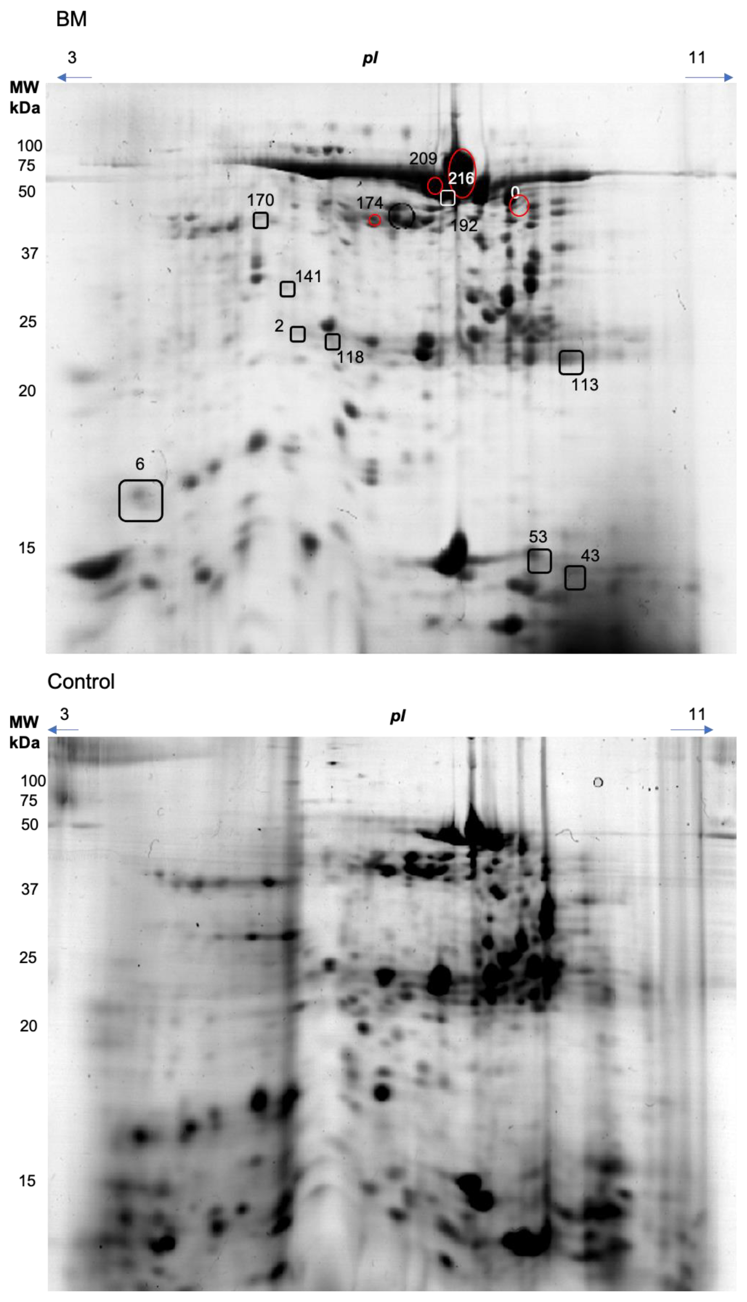 Biology 10 00392 g001 Biology 10 00392 g001