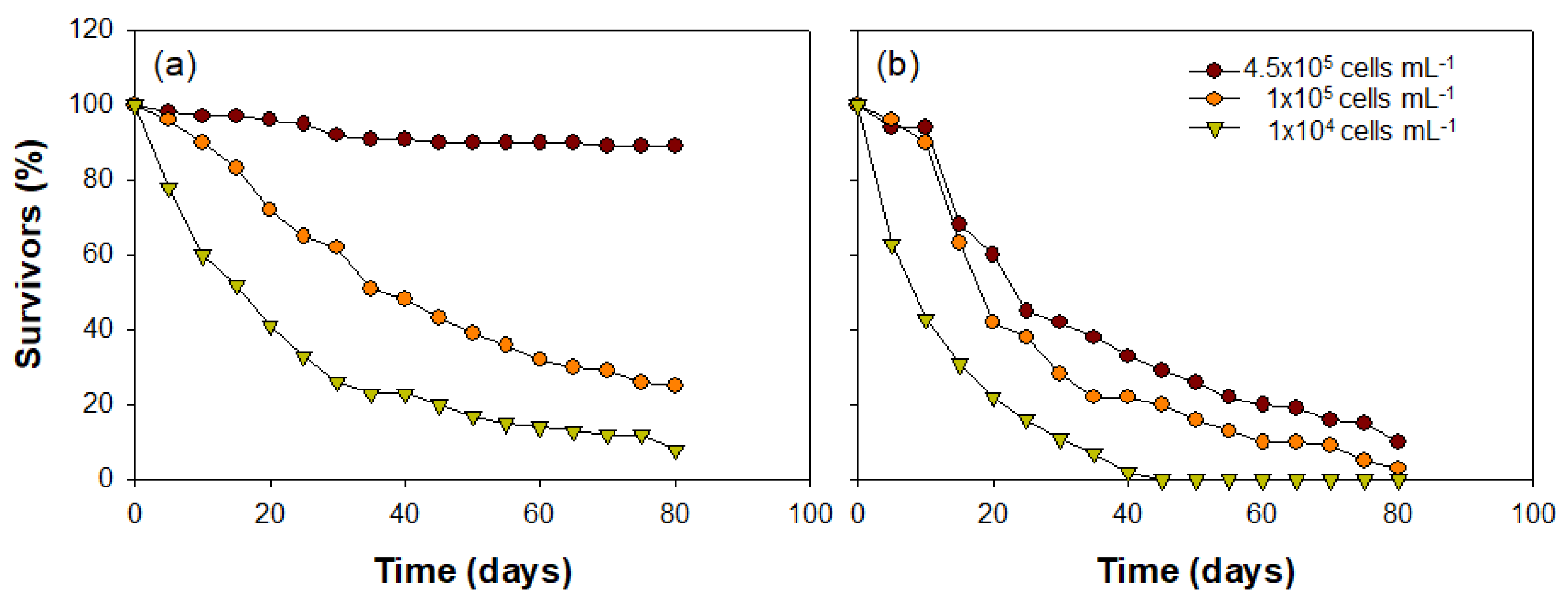 Biology 10 00393 g008