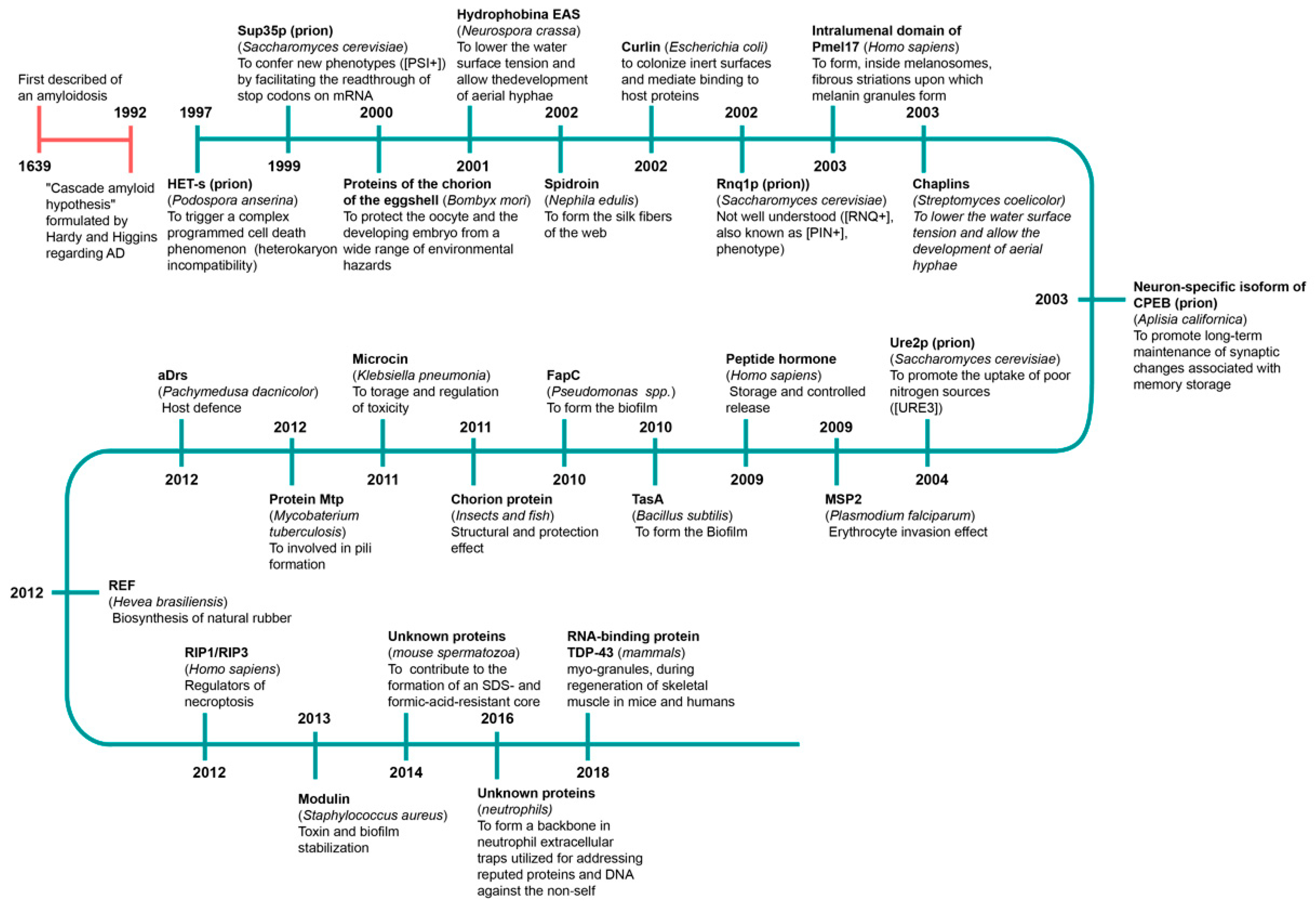 Biology Free Full Text Amyloids The History Of Toxicity And Functionality Html