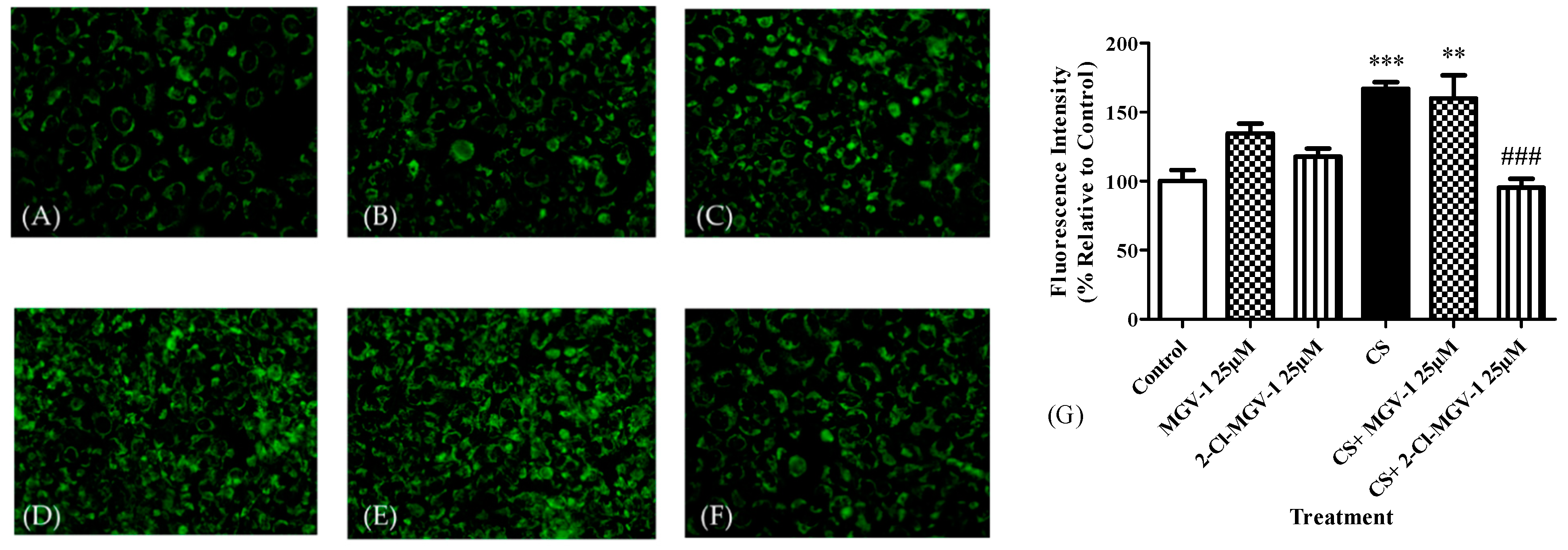 Biology 10 00395 g005 Biology 10 00395 g005