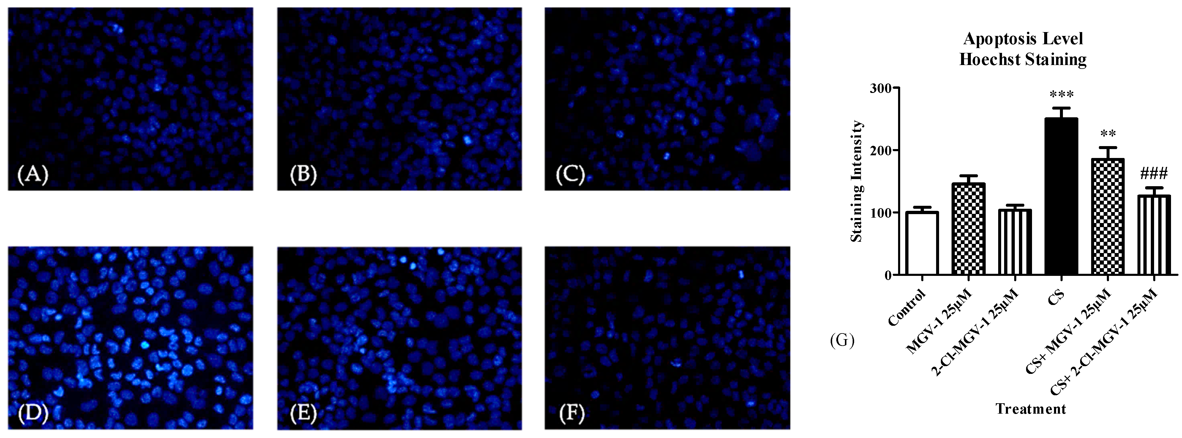 Biology 10 00395 g011 Biology 10 00395 g011
