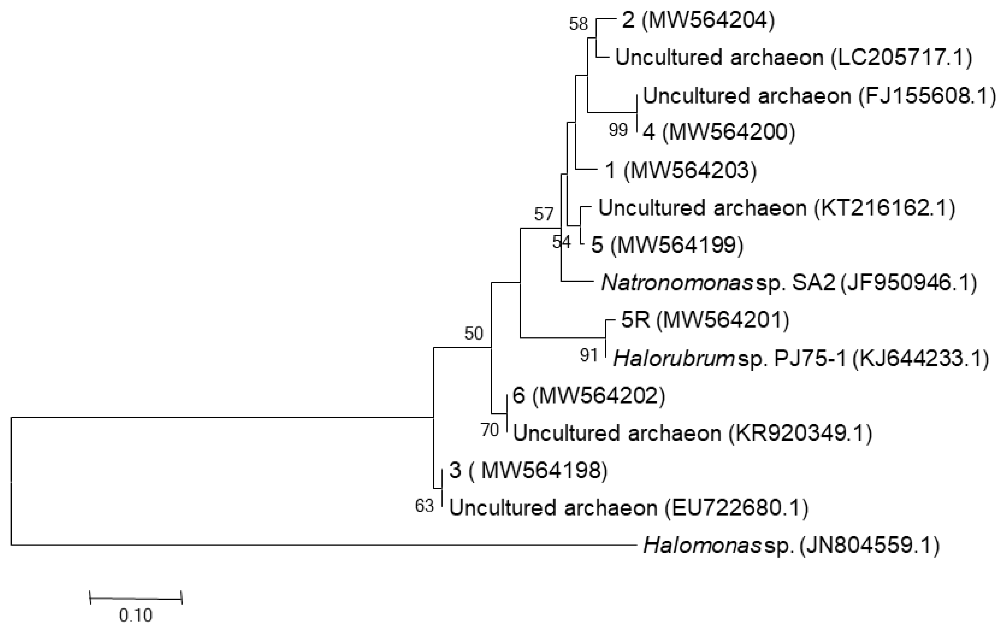 Biology 10 00397 g003 Biology 10 00397 g003