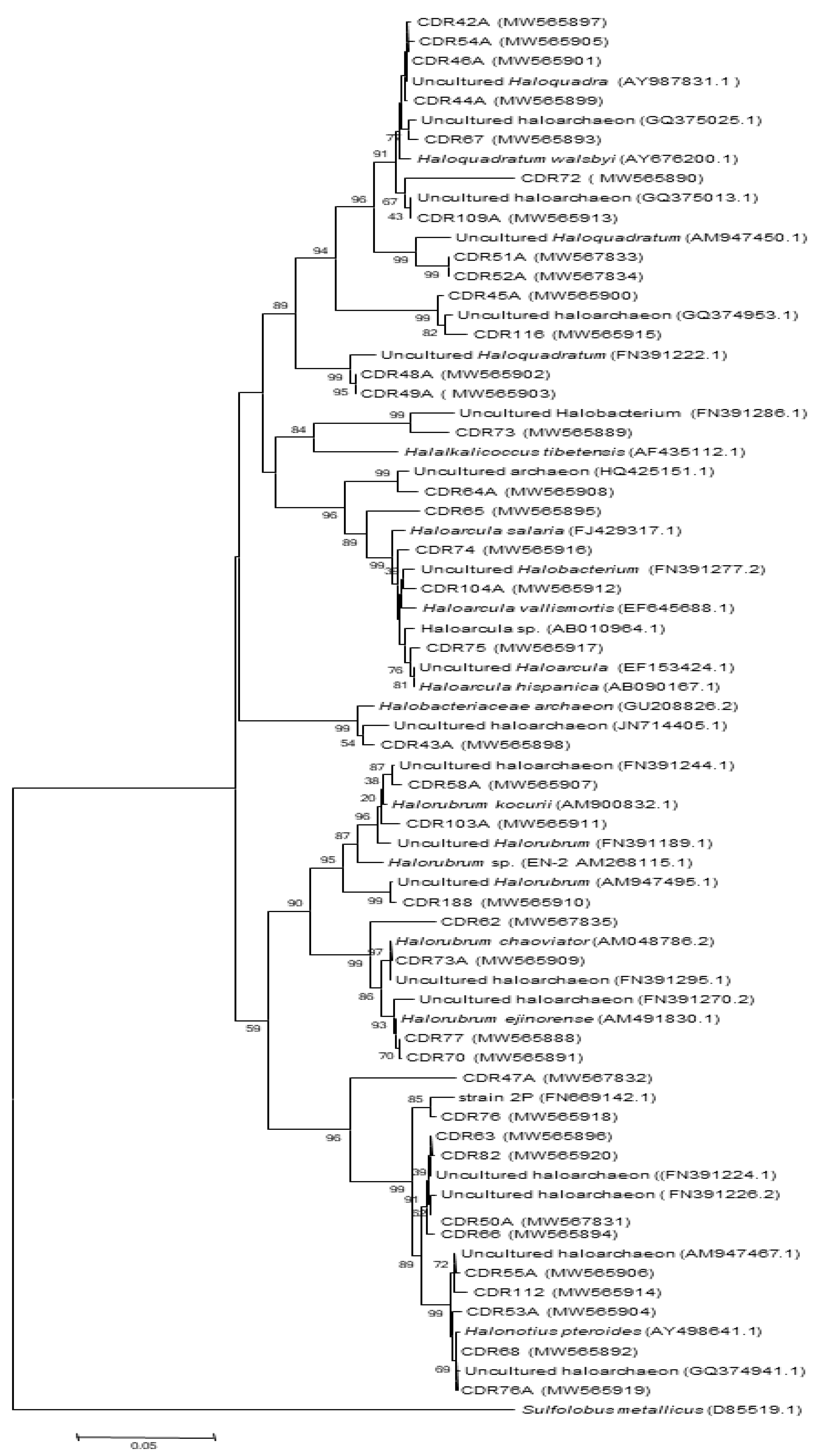 Biology 10 00397 g004 Biology 10 00397 g004