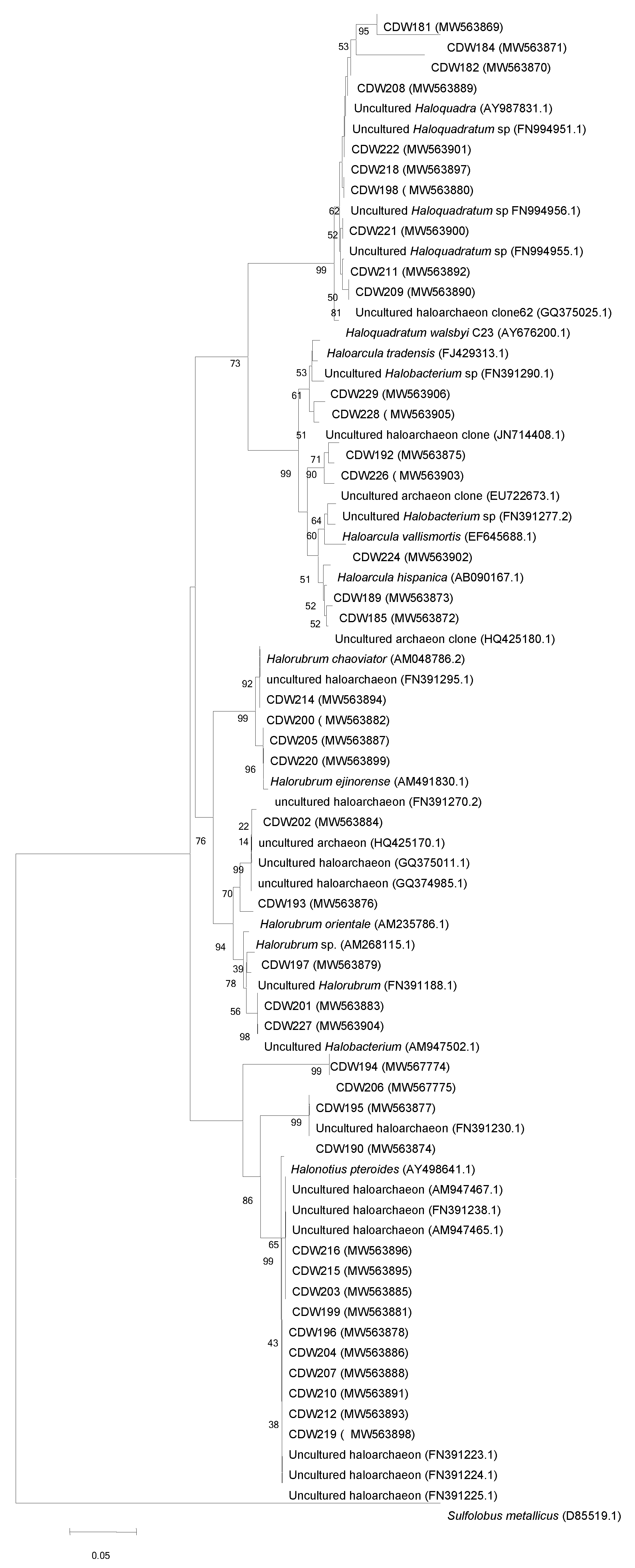 Biology 10 00397 g005 Biology 10 00397 g005