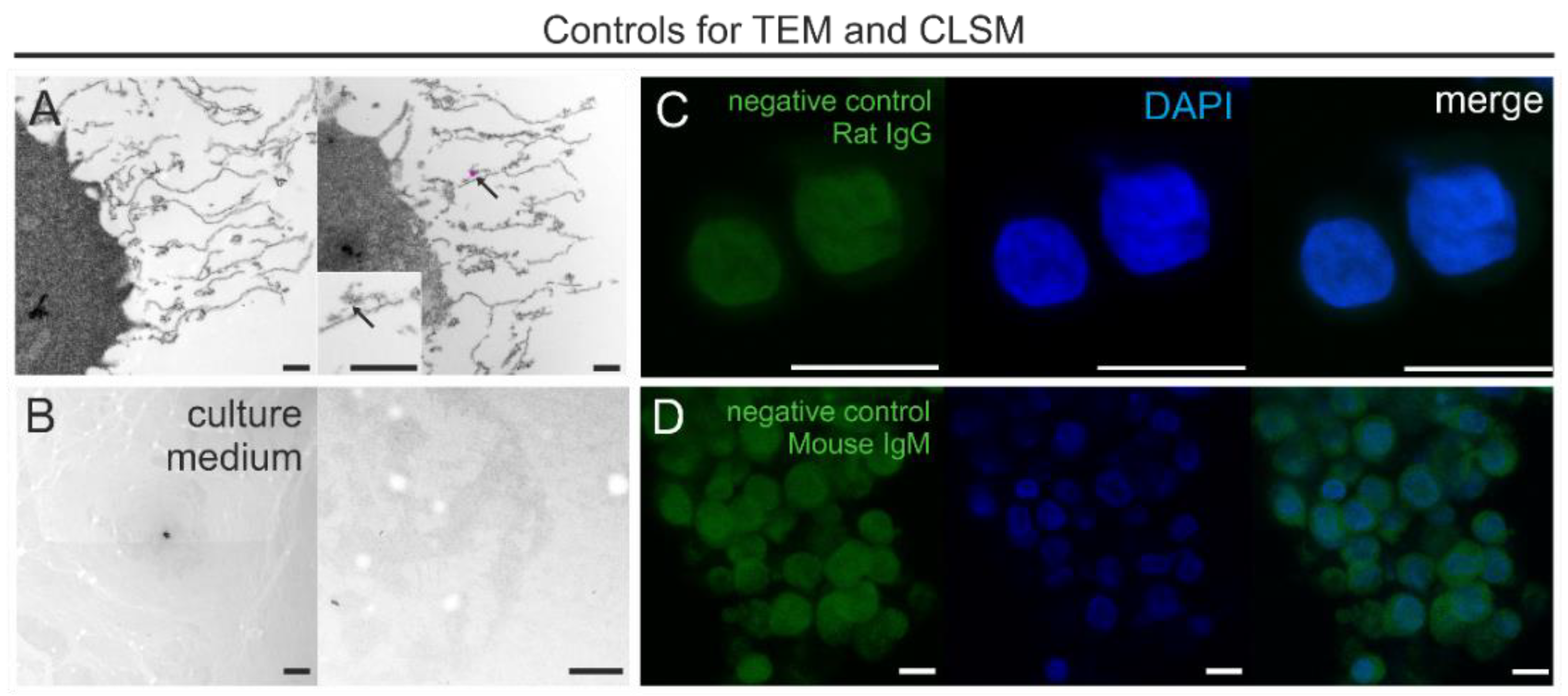 Biology 10 00402 g007 Biology 10 00402 g007