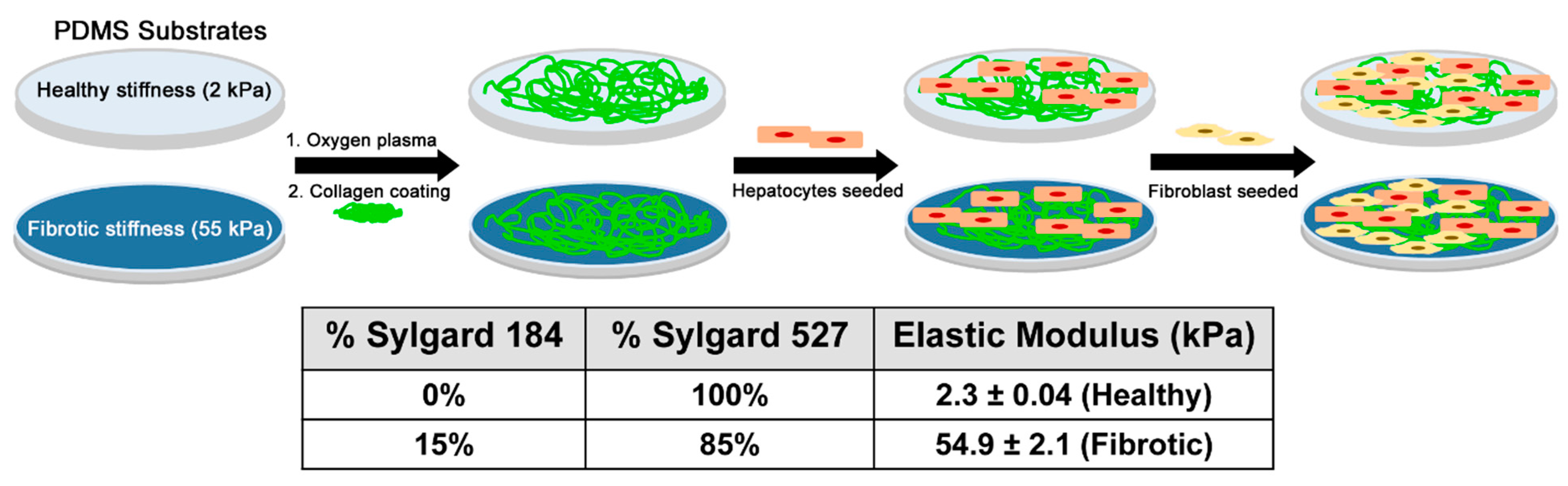 Biology 10 00408 g001 Biology 10 00408 g001