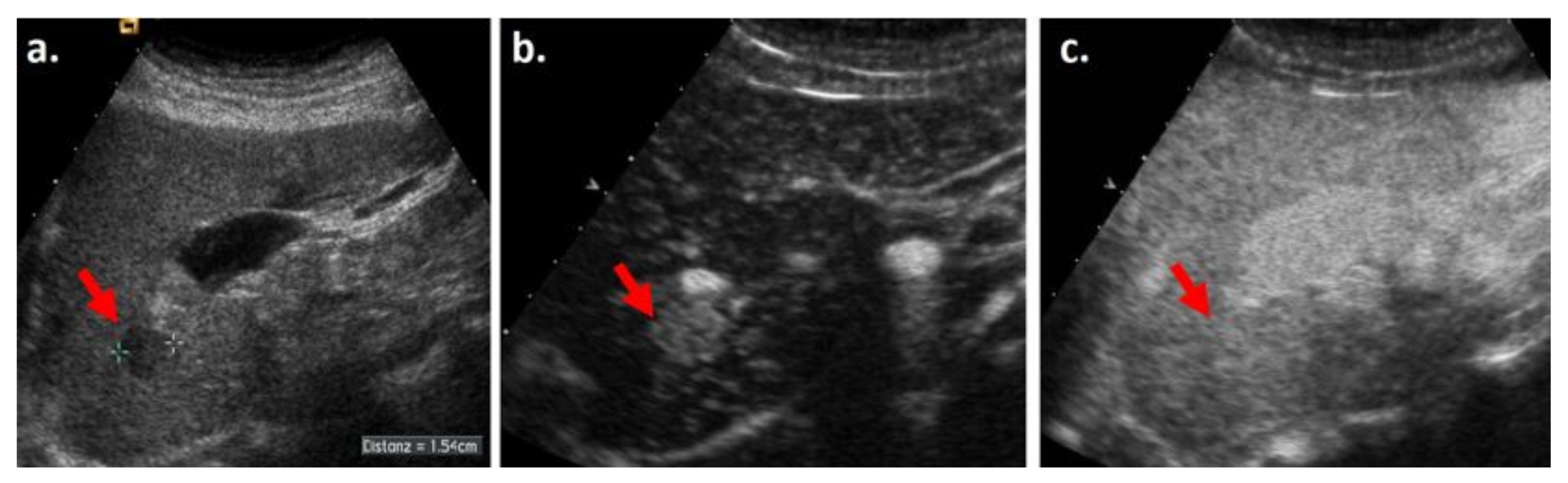 Biology 10 00412 g003