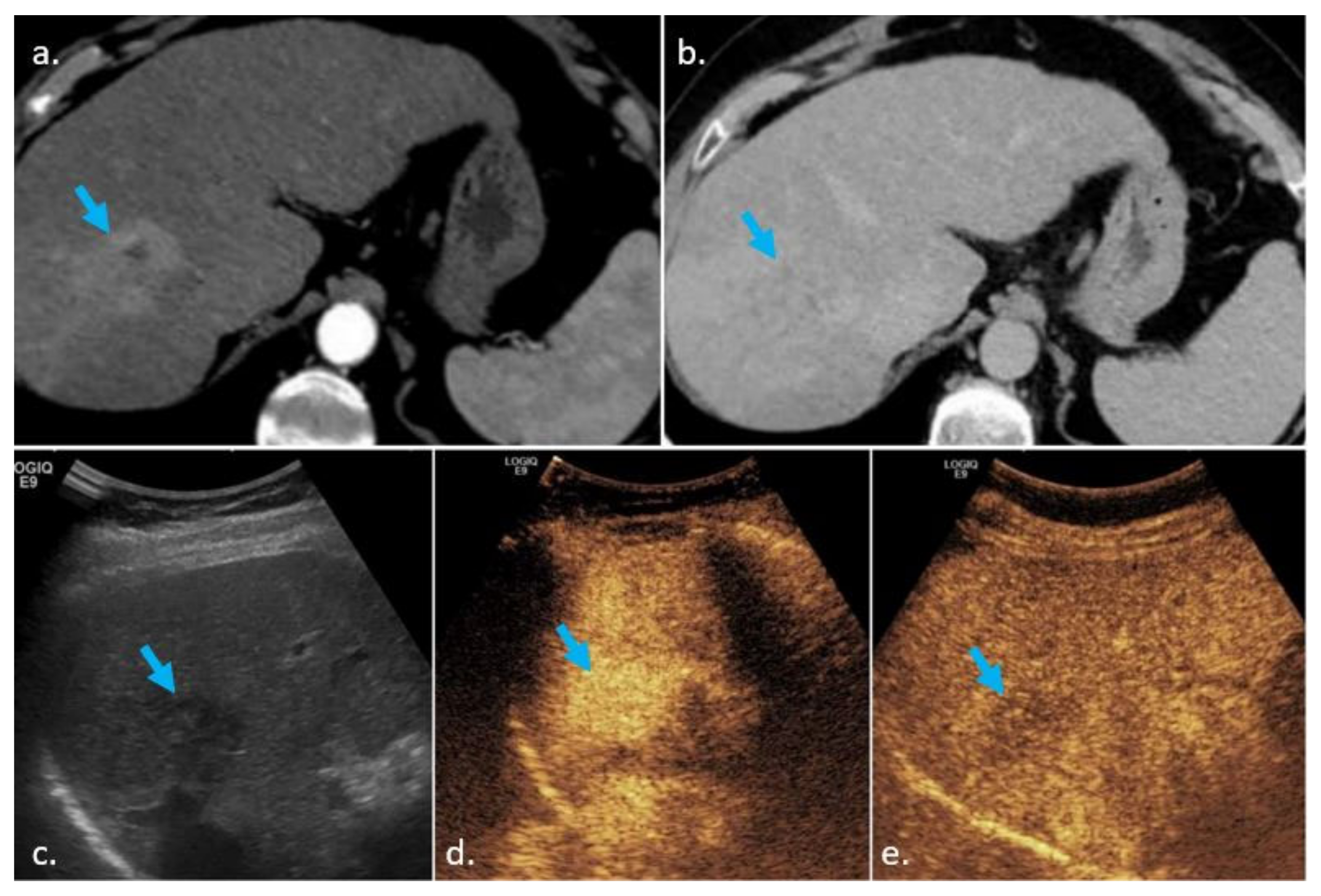 Biology 10 00412 g004