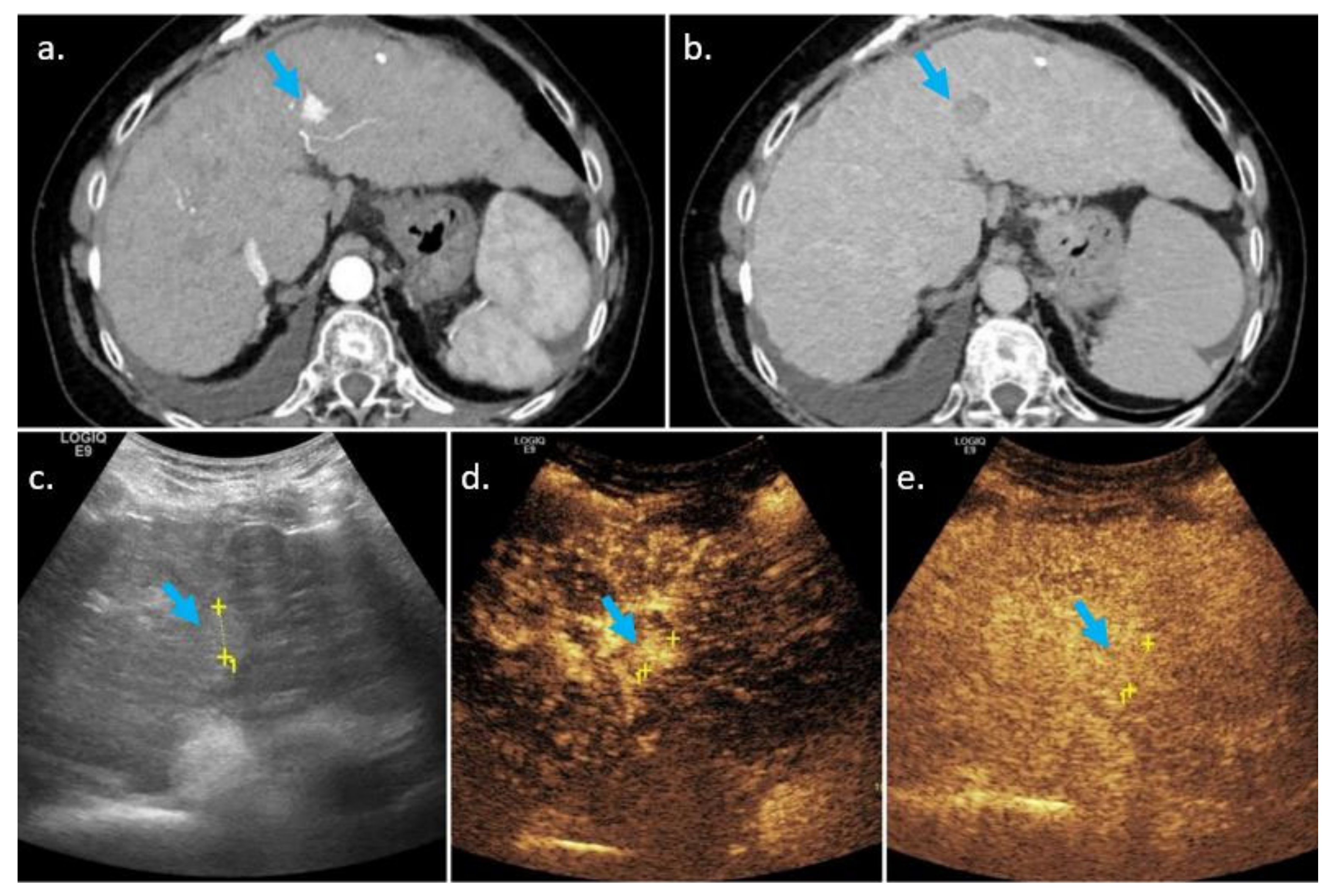 Biology 10 00412 g005