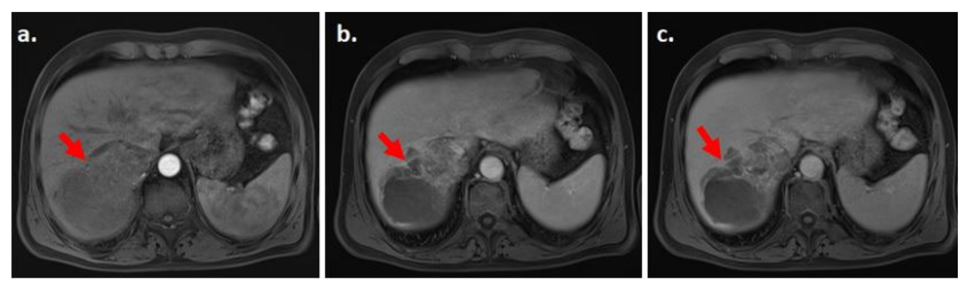 Biology 10 00412 g006