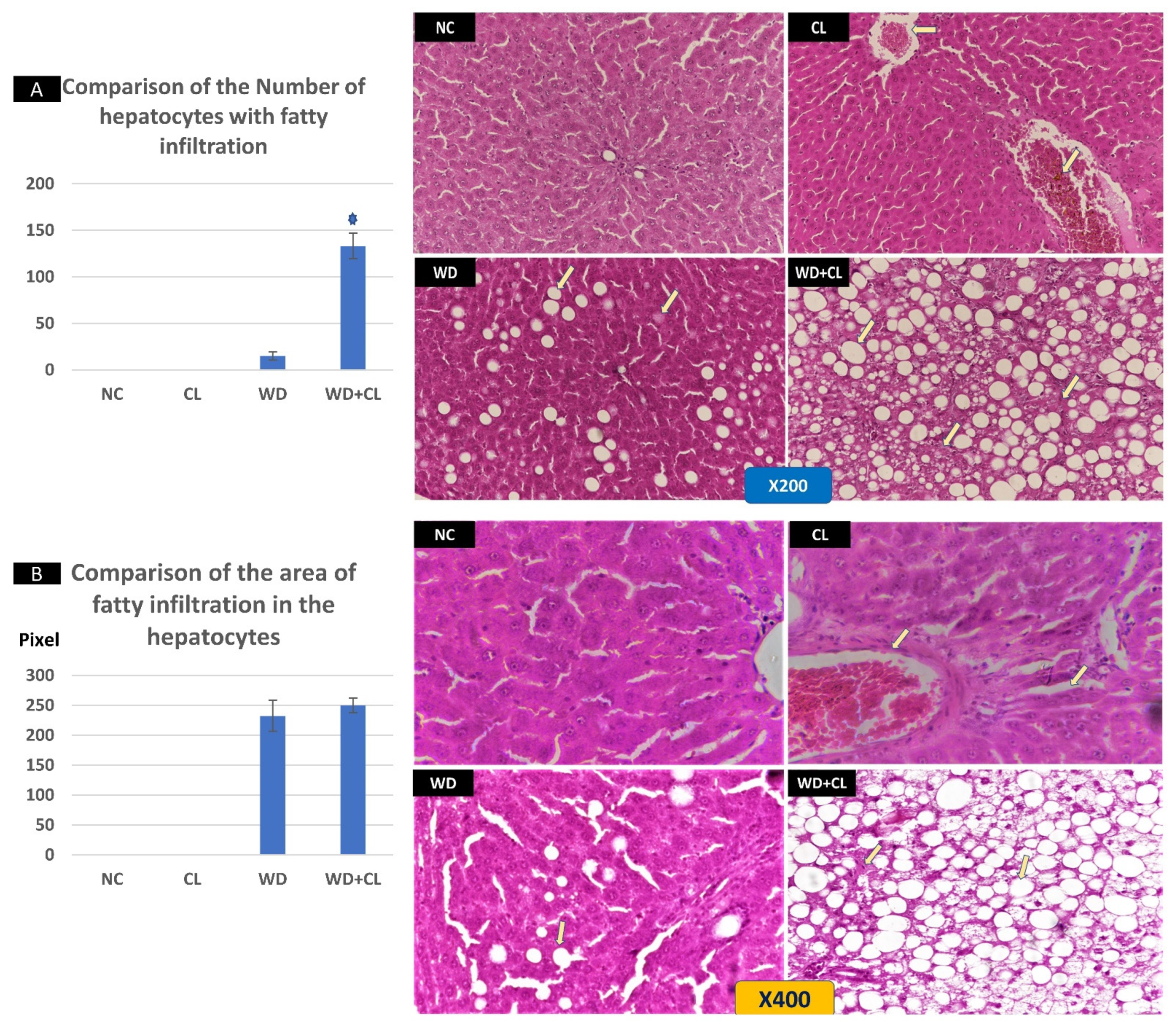 Biology 10 00413 g003 Biology 10 00413 g003