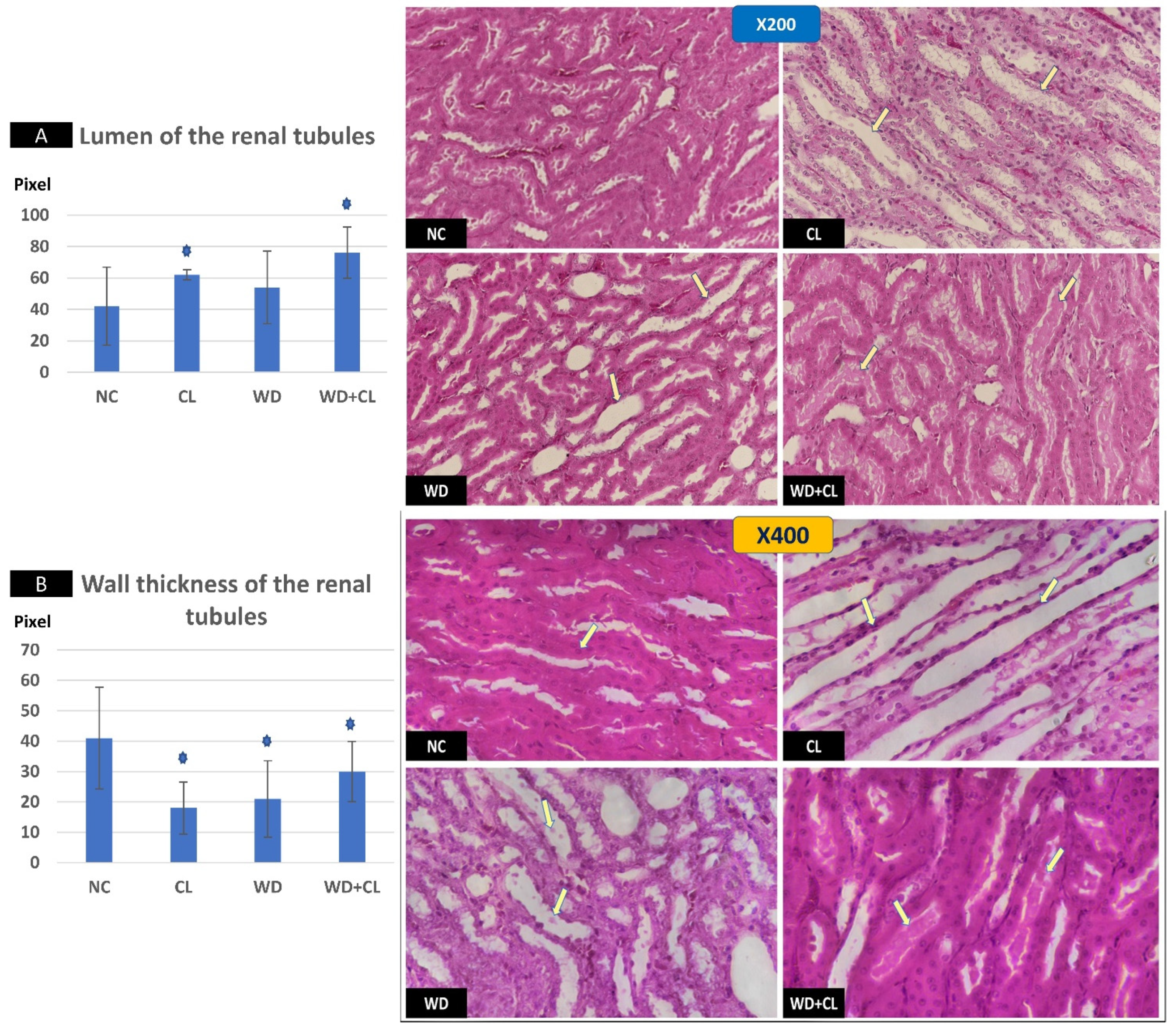 Biology 10 00413 g006 Biology 10 00413 g006