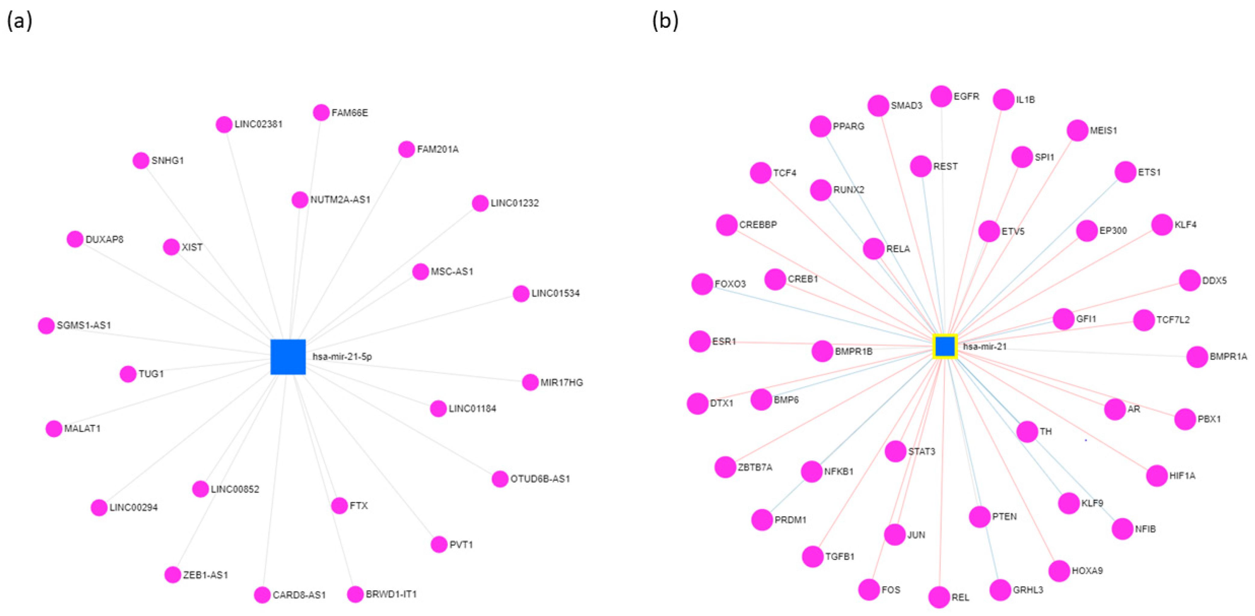 Biology 10 00417 g001 Biology 10 00417 g001