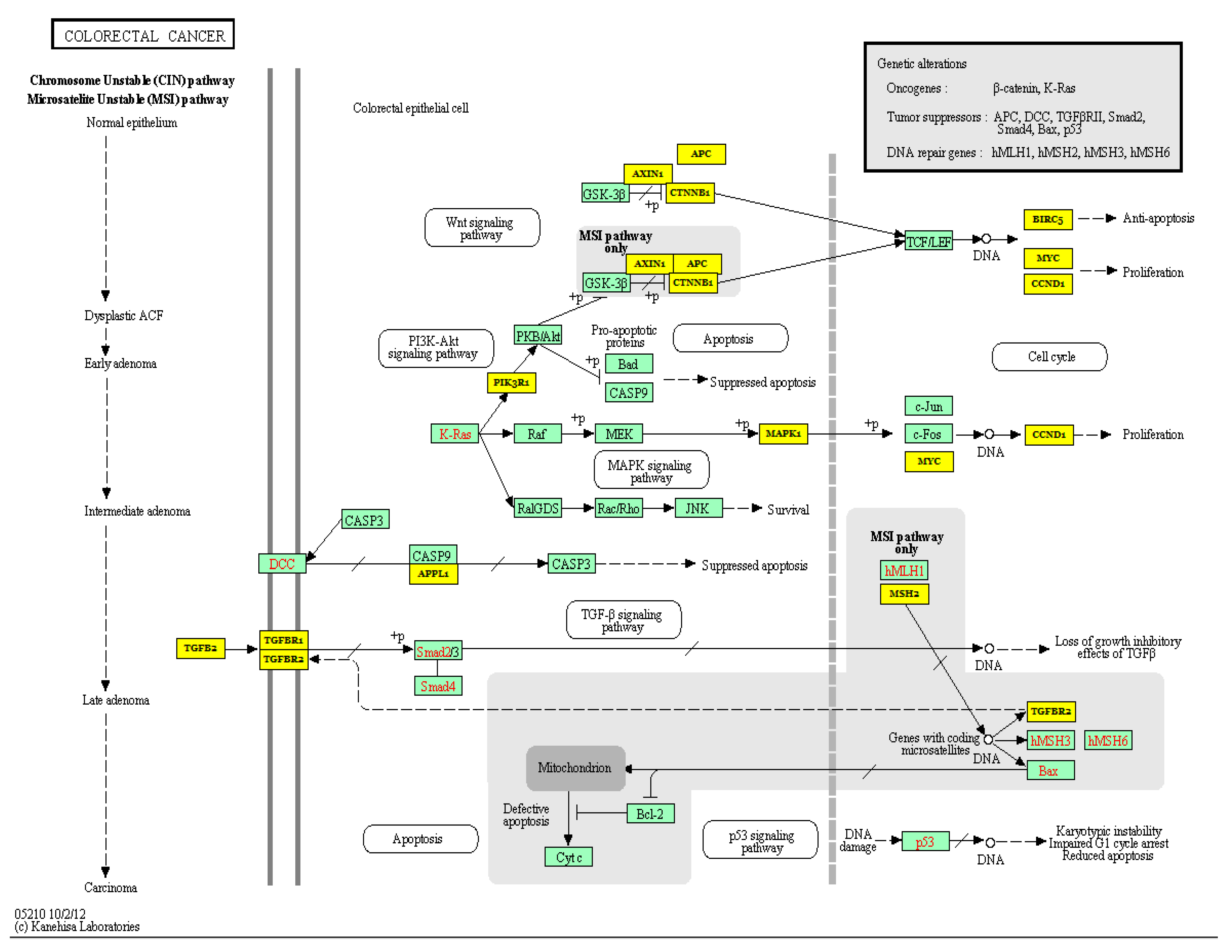 Biology 10 00417 g004 Biology 10 00417 g004