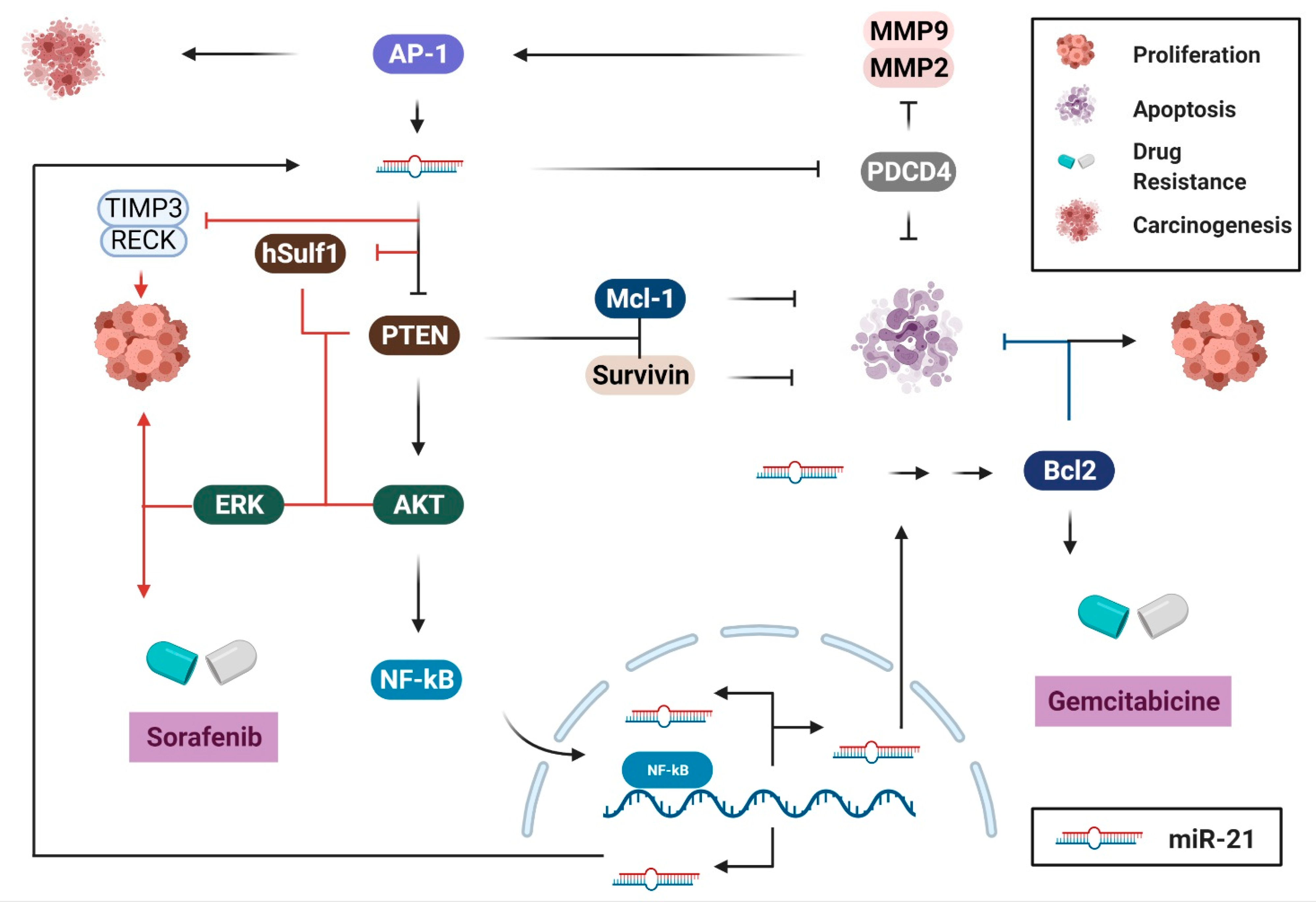 Biology 10 00417 g005 Biology 10 00417 g005