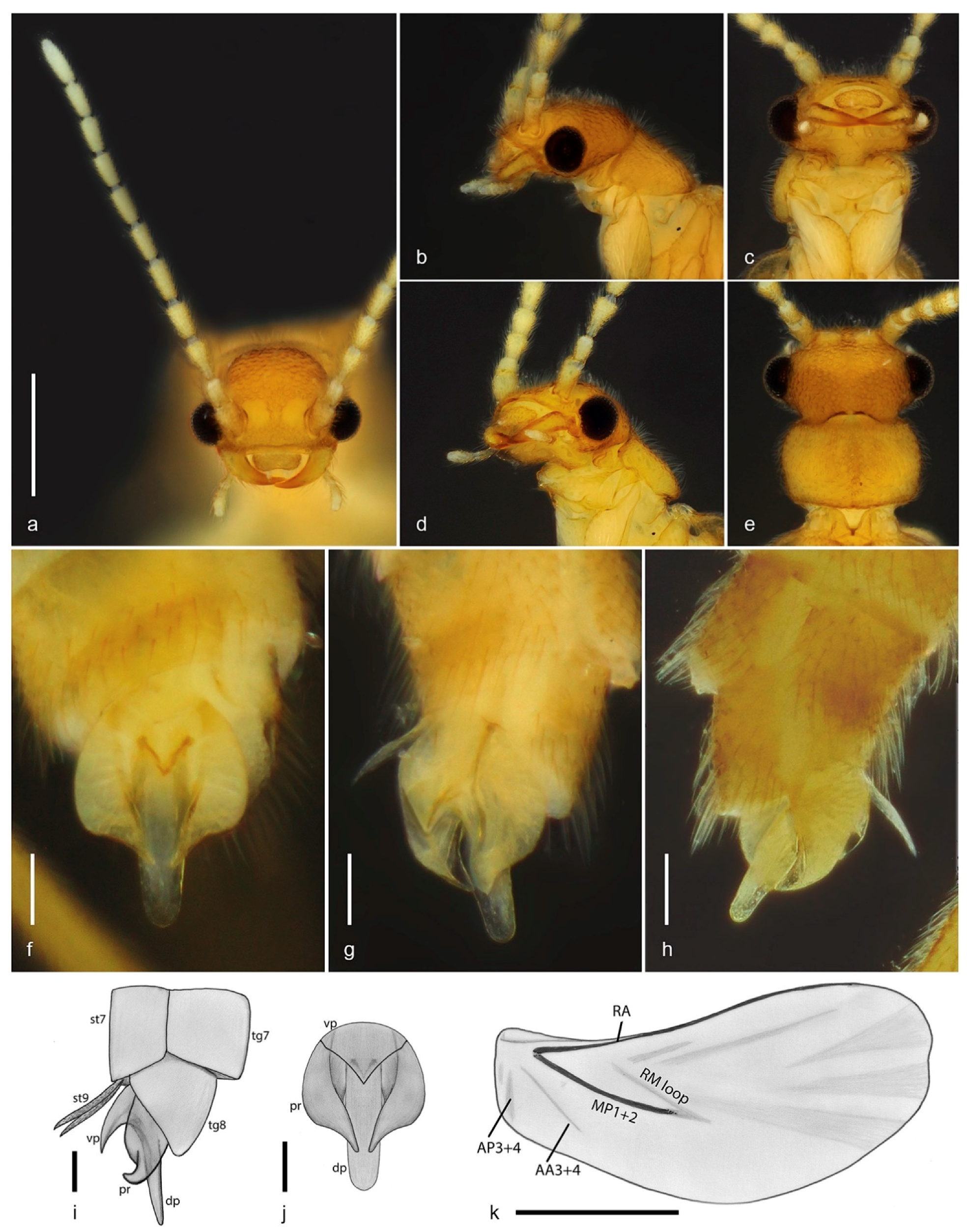 Biology 10 00420 g002 Biology 10 00420 g002
