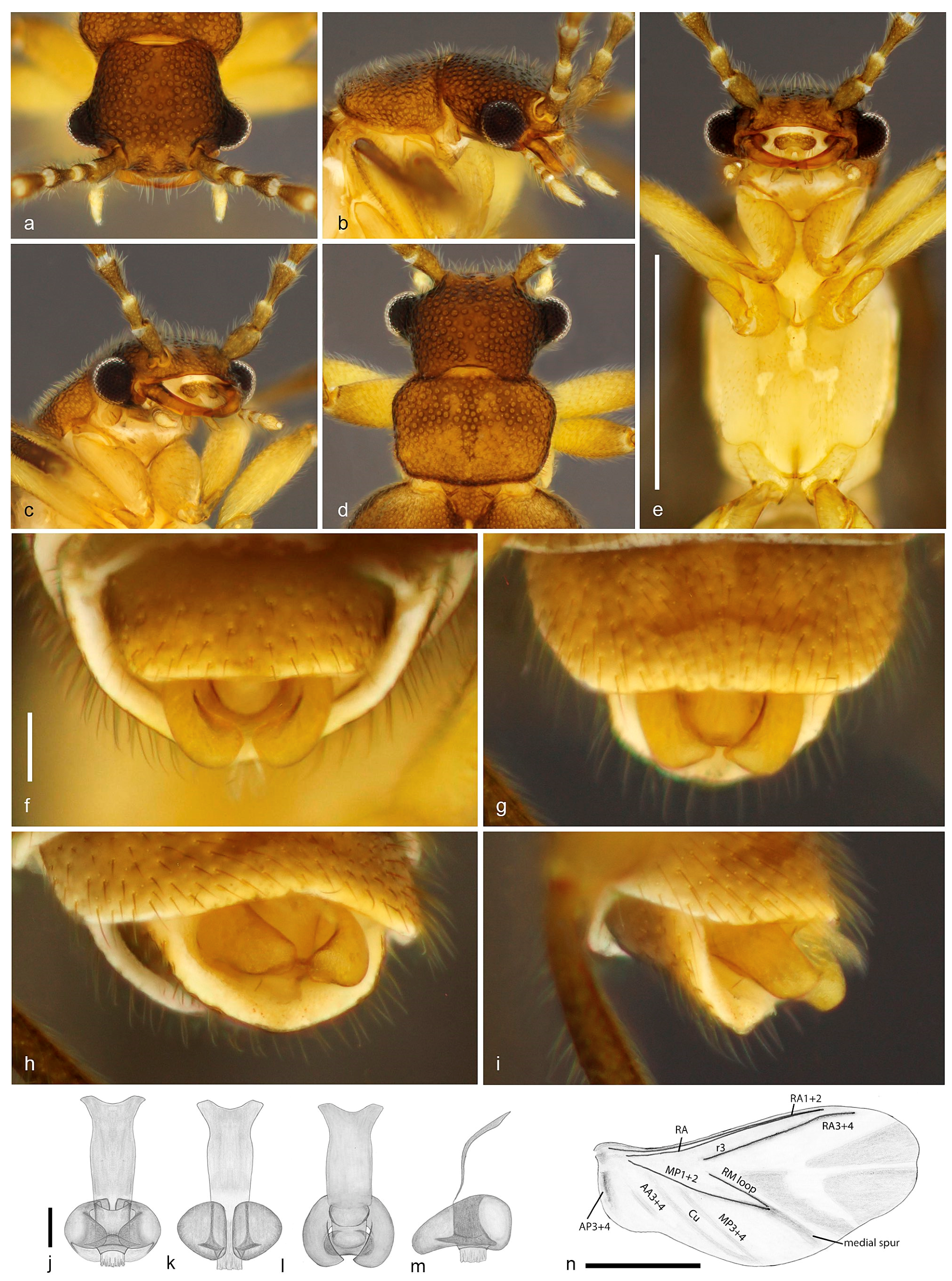 Biology 10 00420 g004 Biology 10 00420 g004