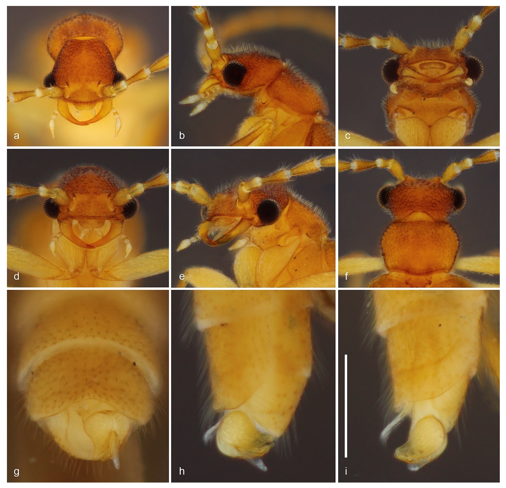 Biology 10 00420 g006 Biology 10 00420 g006
