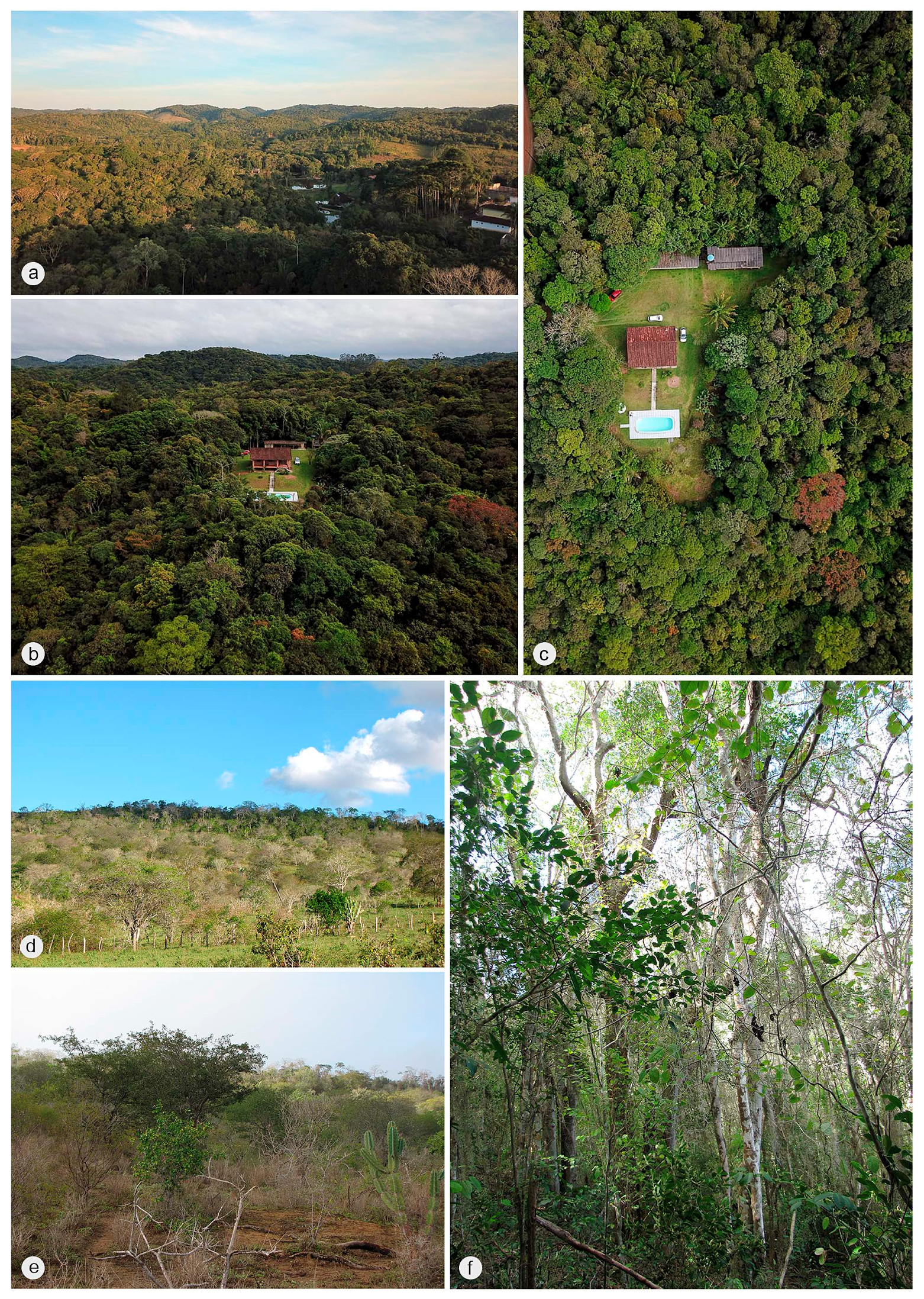 Biology 10 00420 g007 Biology 10 00420 g007
