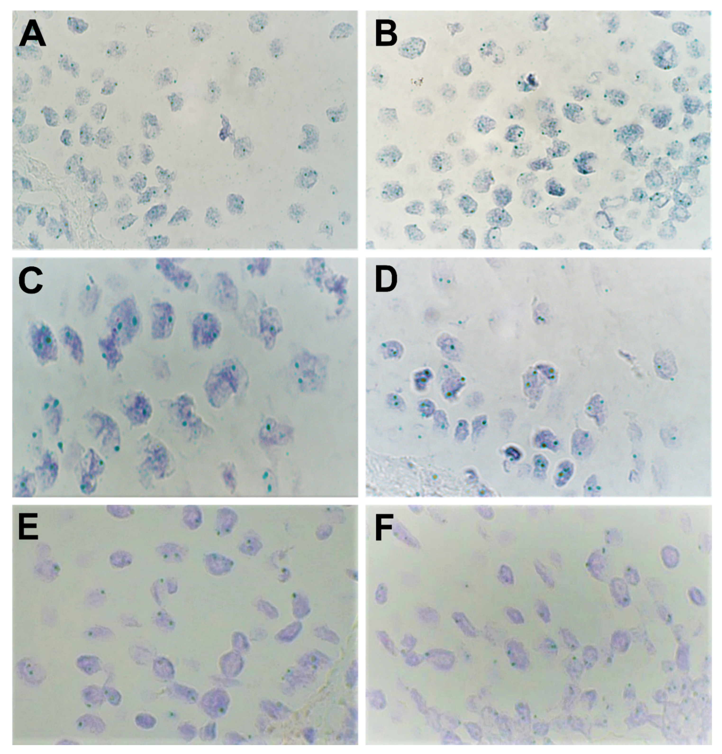 Biology 10 00423 g003 Biology 10 00423 g003