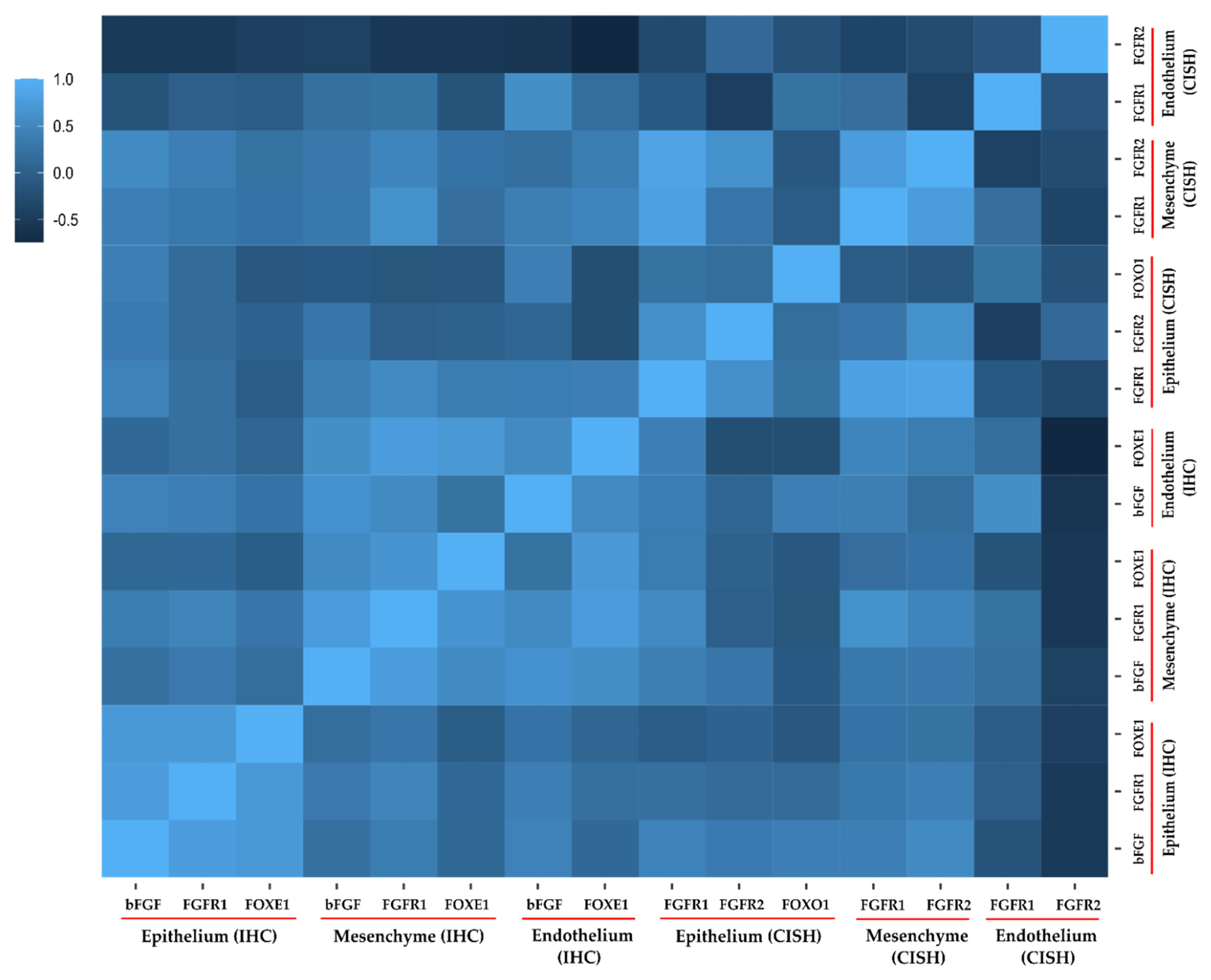 Biology 10 00423 g004 Biology 10 00423 g004