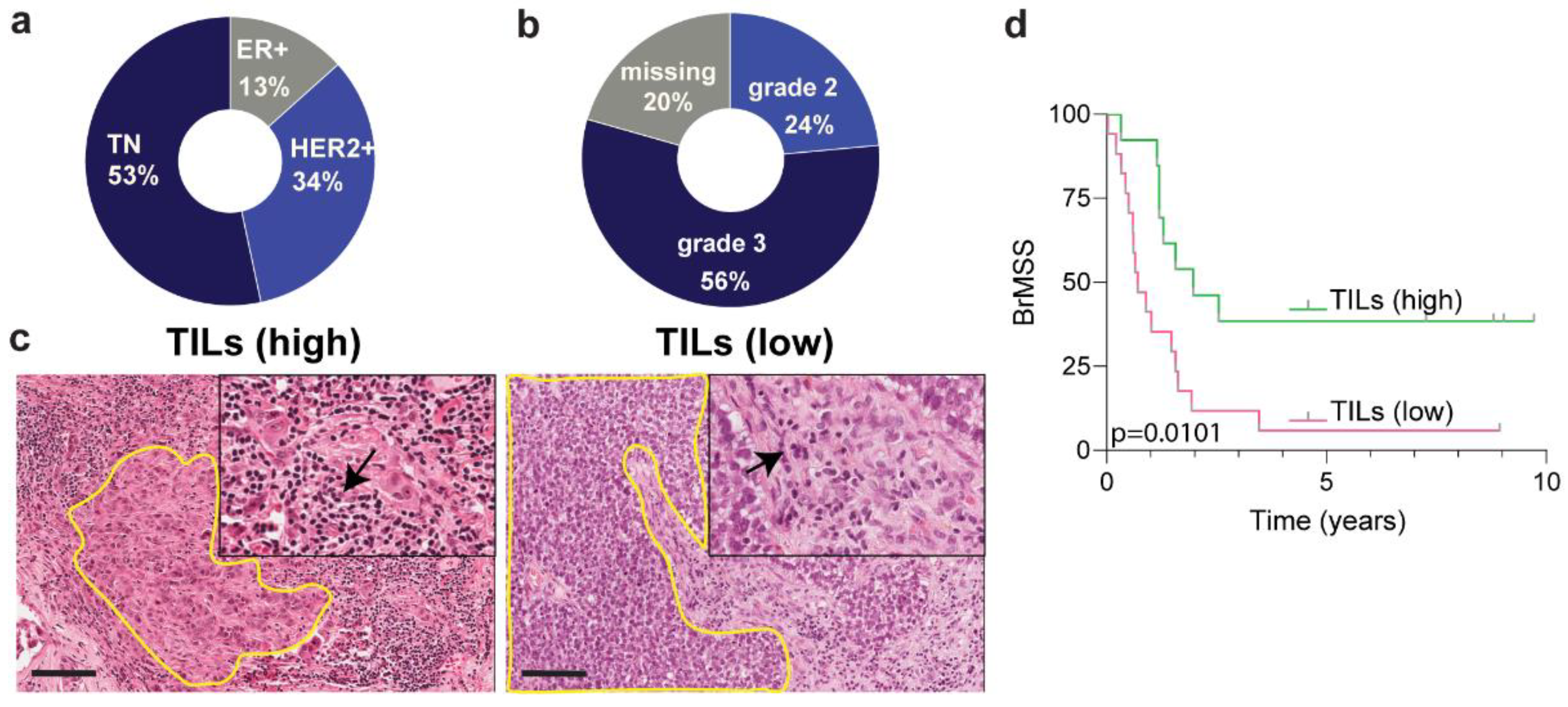 Biology 10 00425 g001