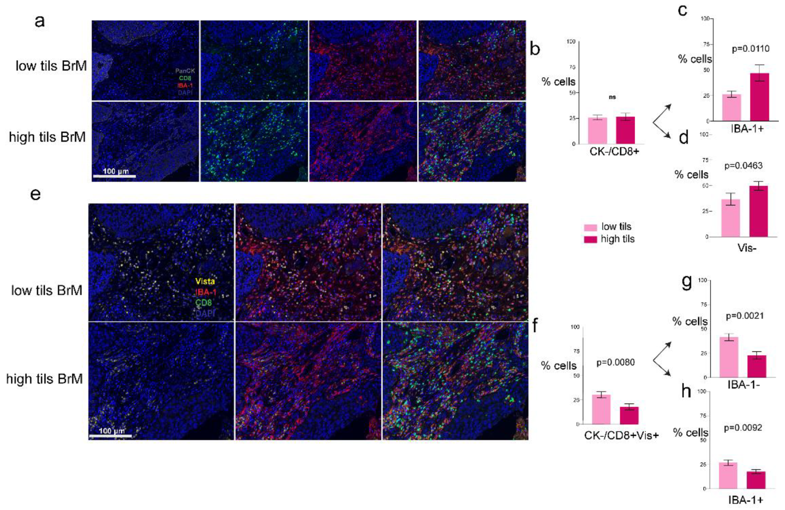 Biology 10 00425 g004