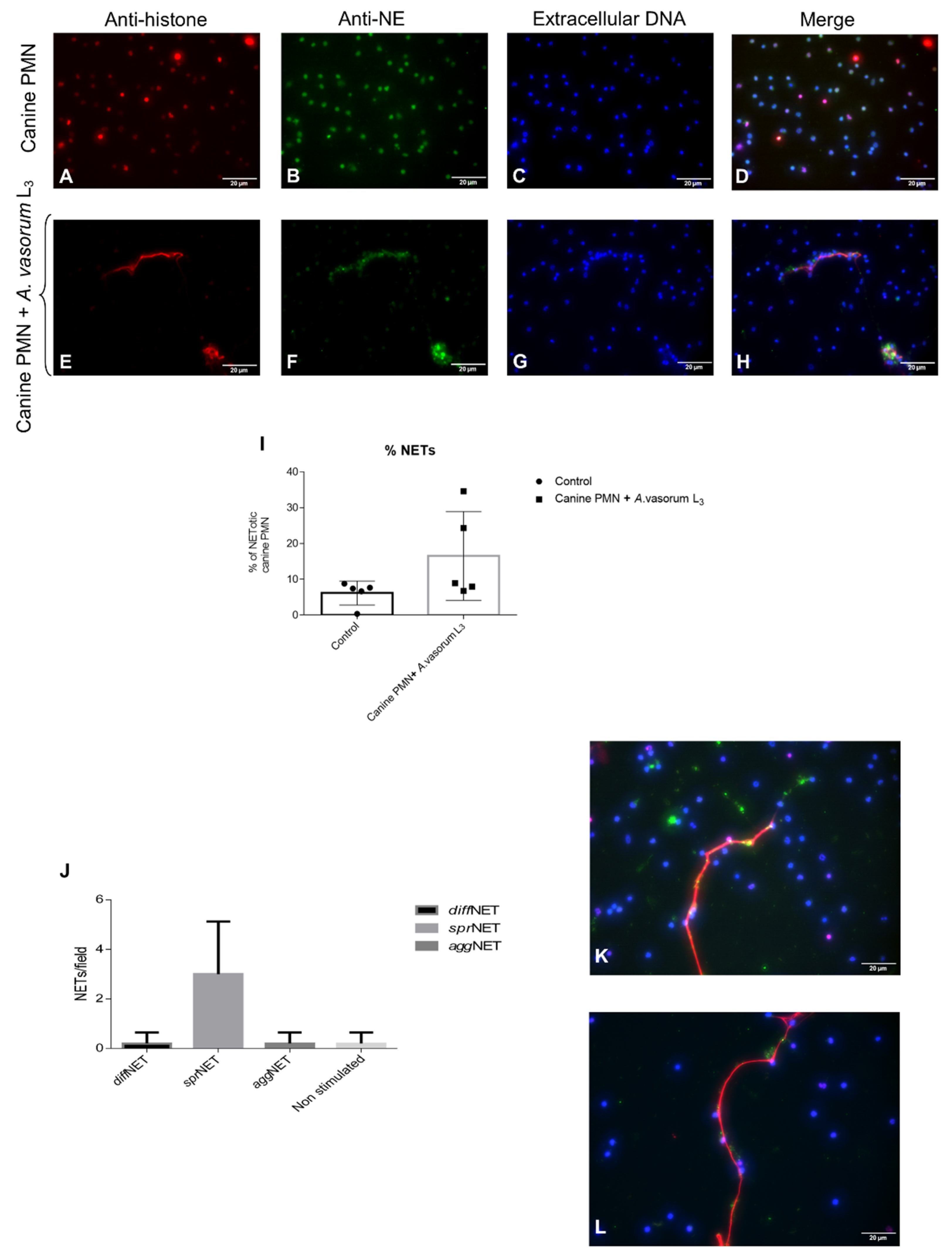 Biology 10 00427 g002 Biology 10 00427 g002