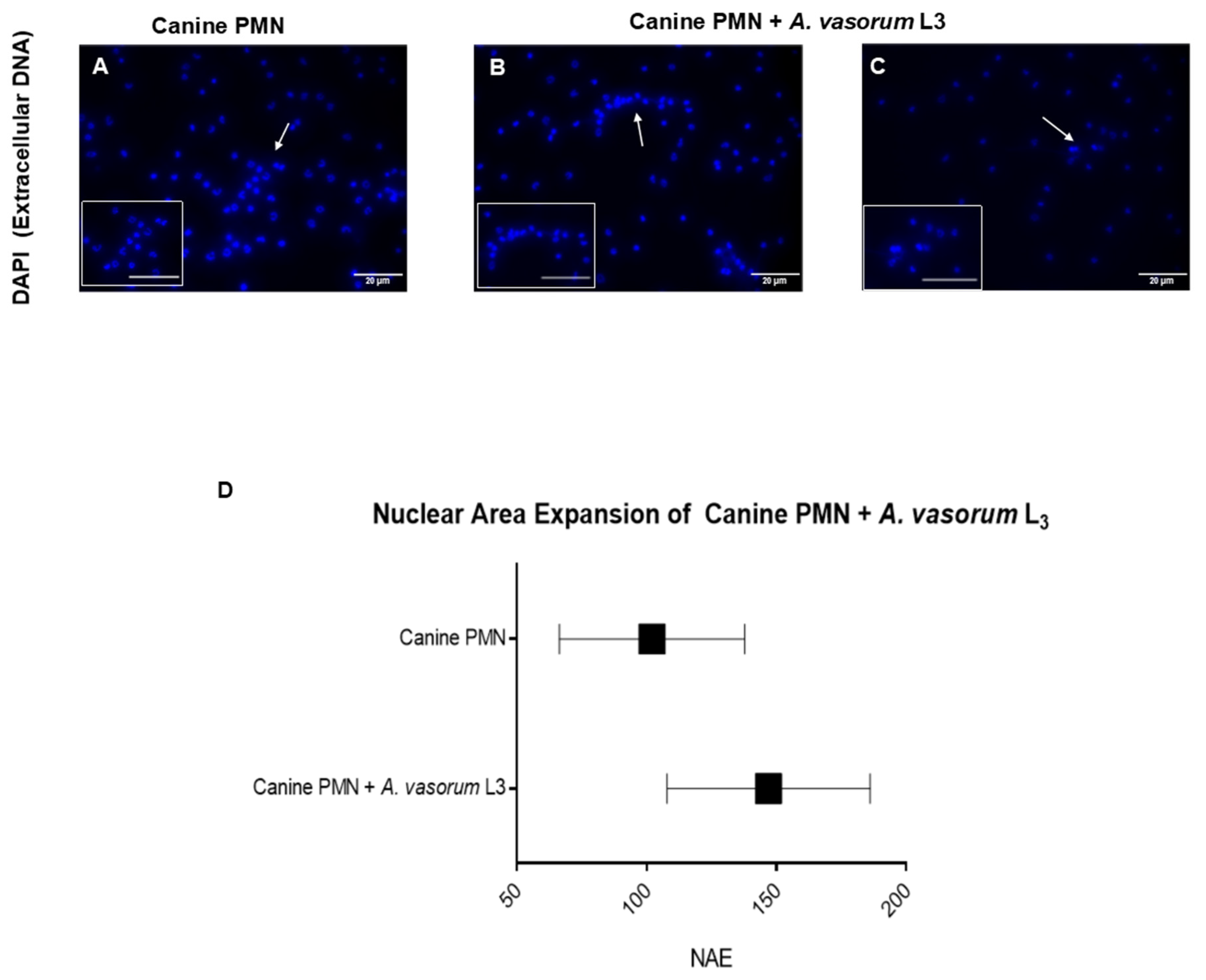 Biology 10 00427 g003 Biology 10 00427 g003