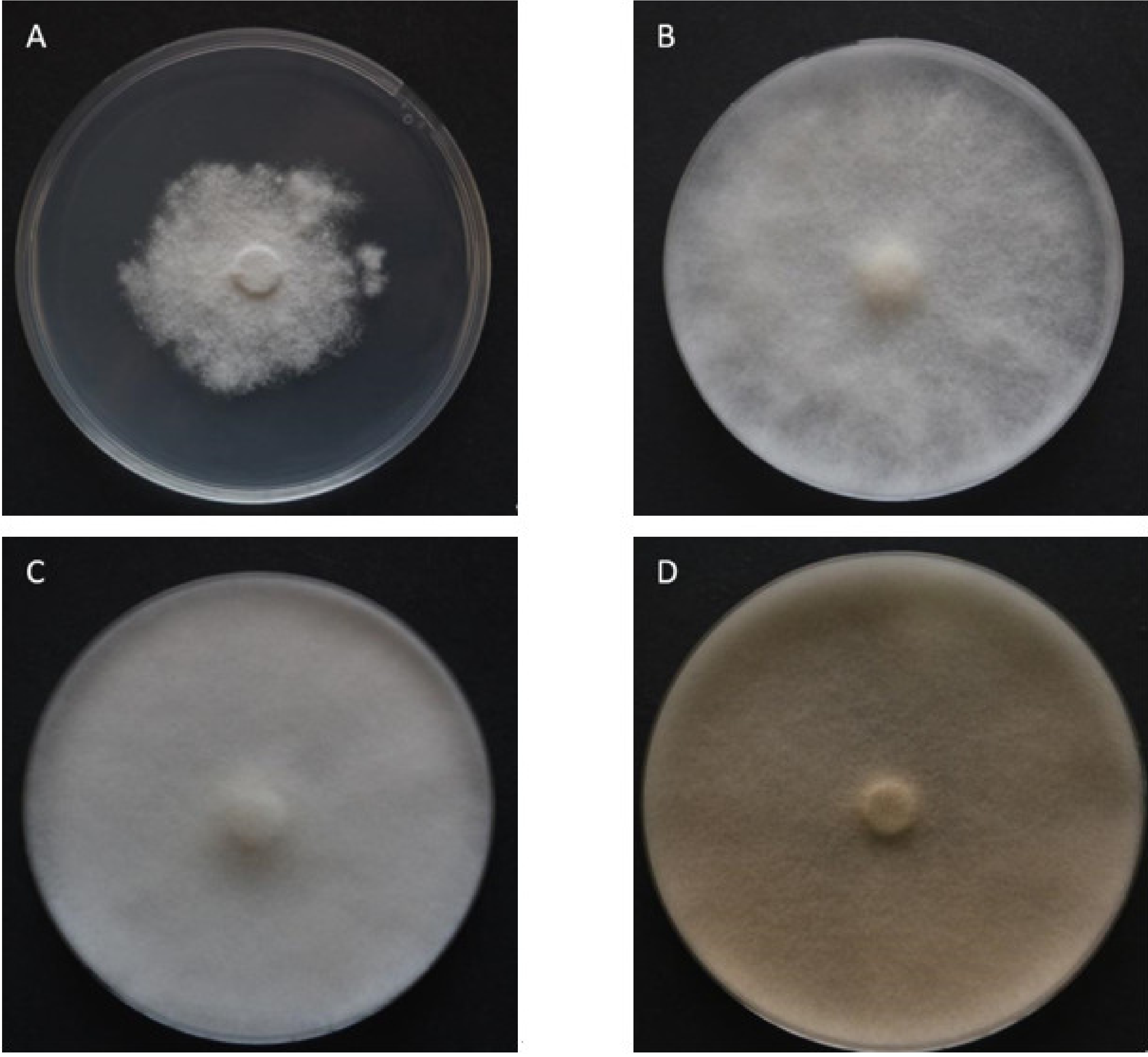 Biology 10 00431 g005