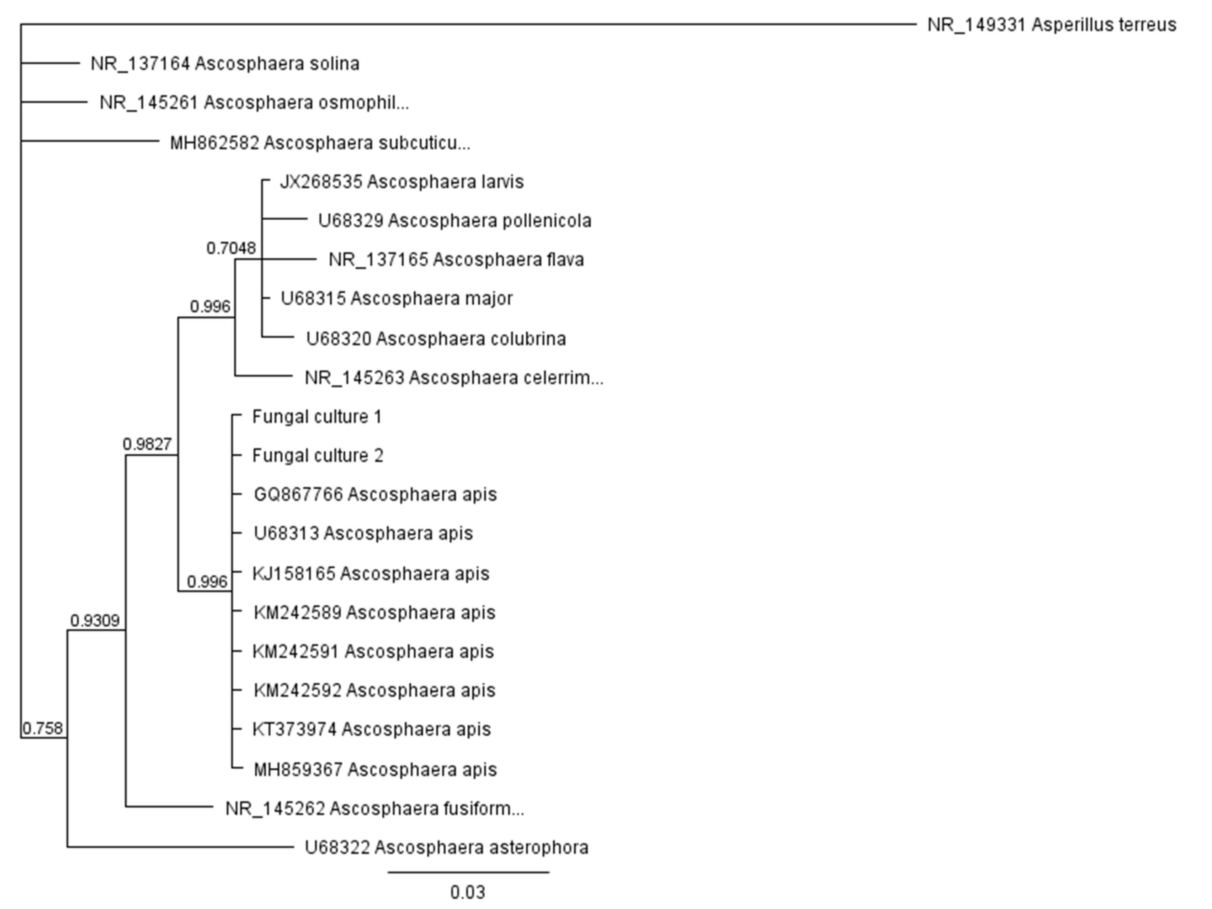 Biology 10 00431 g006
