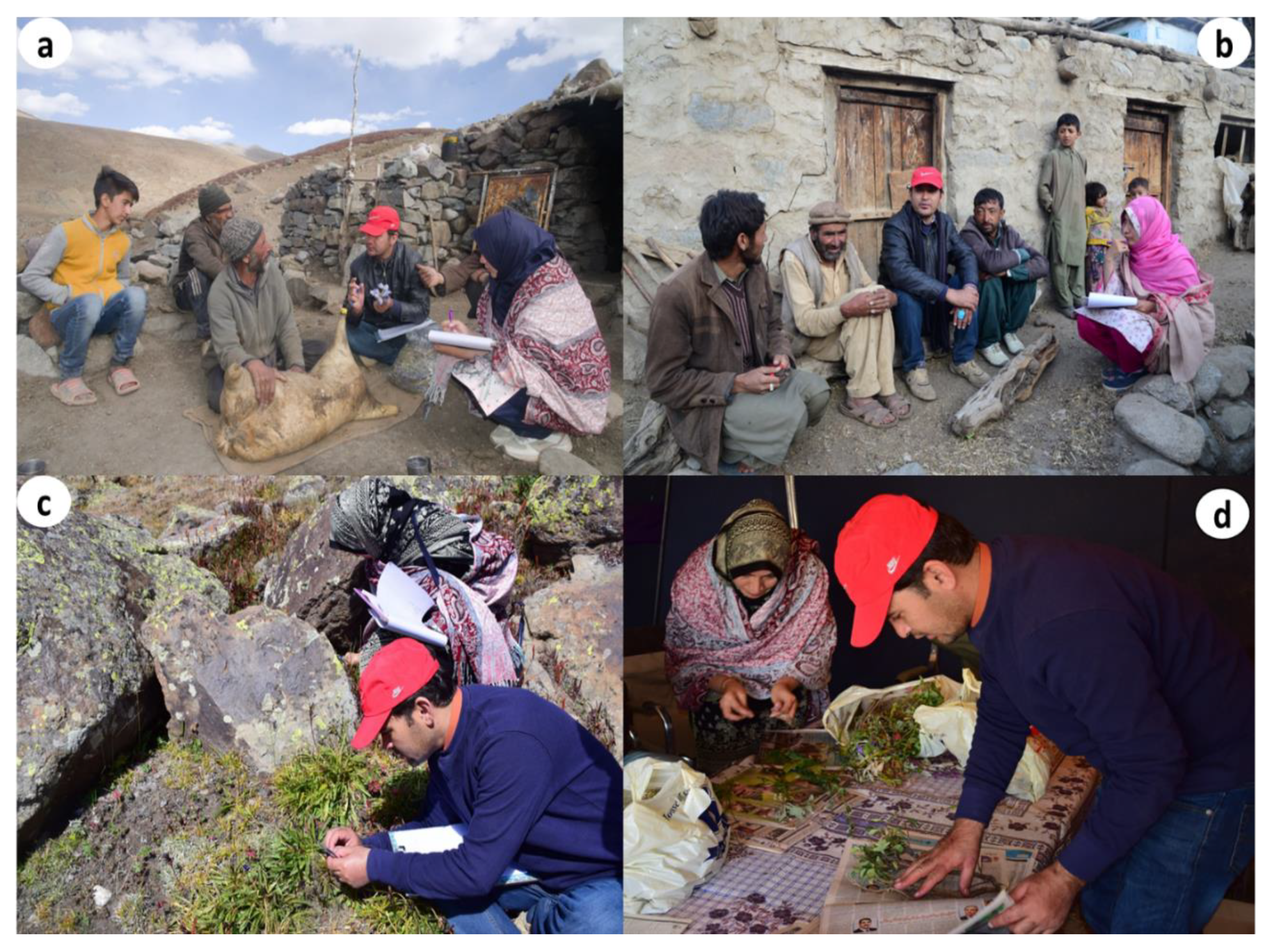 Biology 10 00434 g003 Biology 10 00434 g003