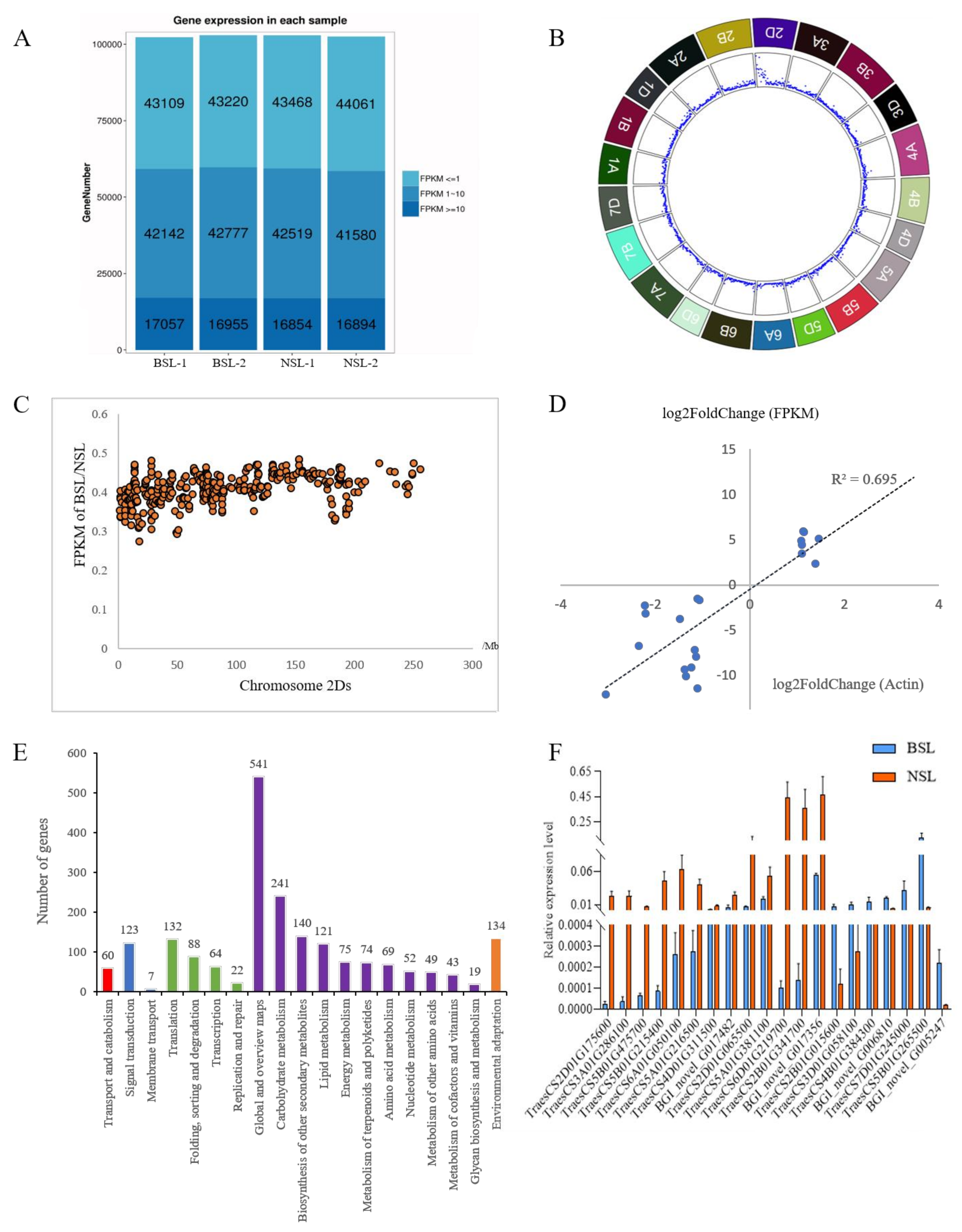 A Heterozygous Genotype-Dependent Branched-Spike Wheat and