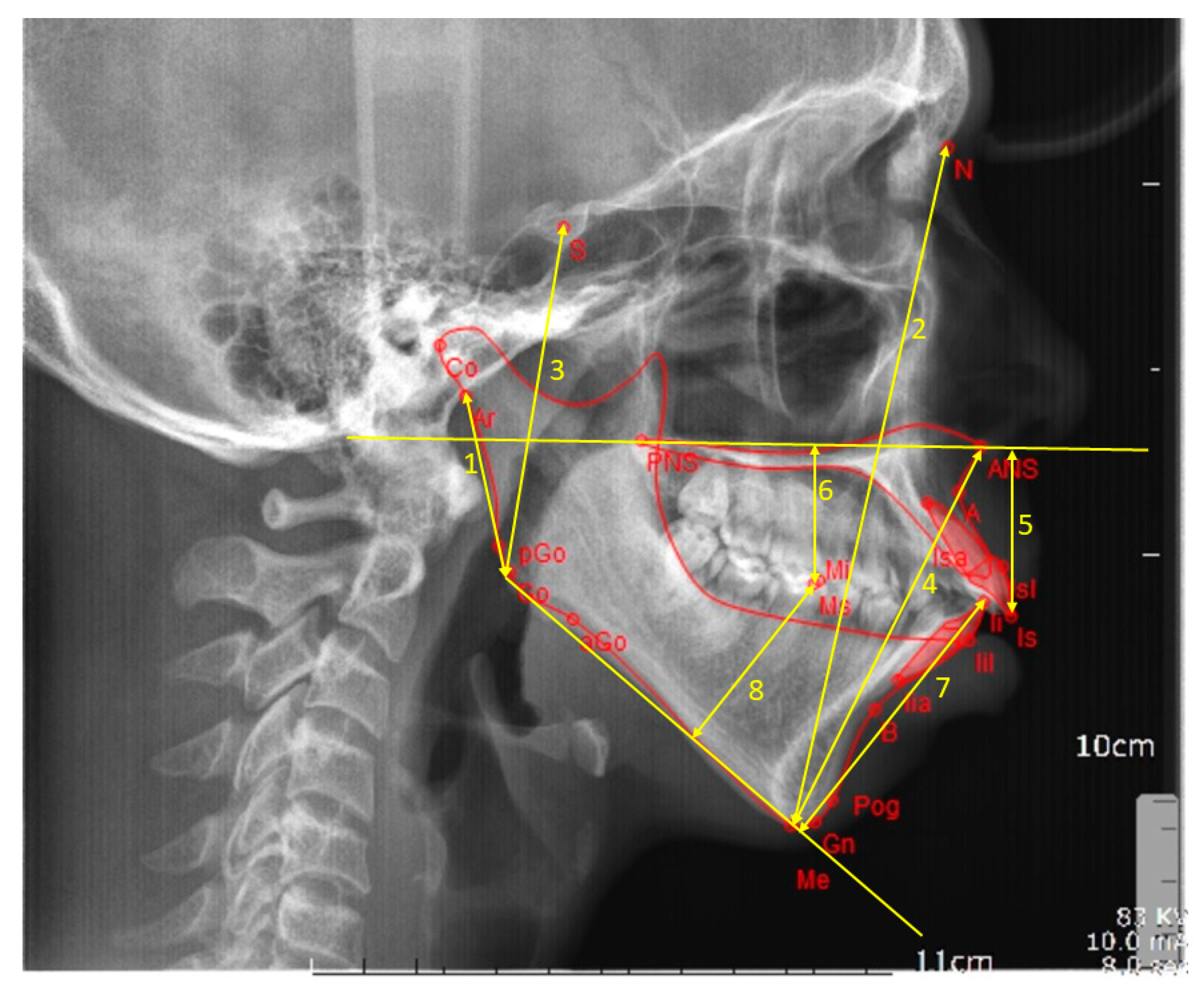 Biology 10 00438 g002