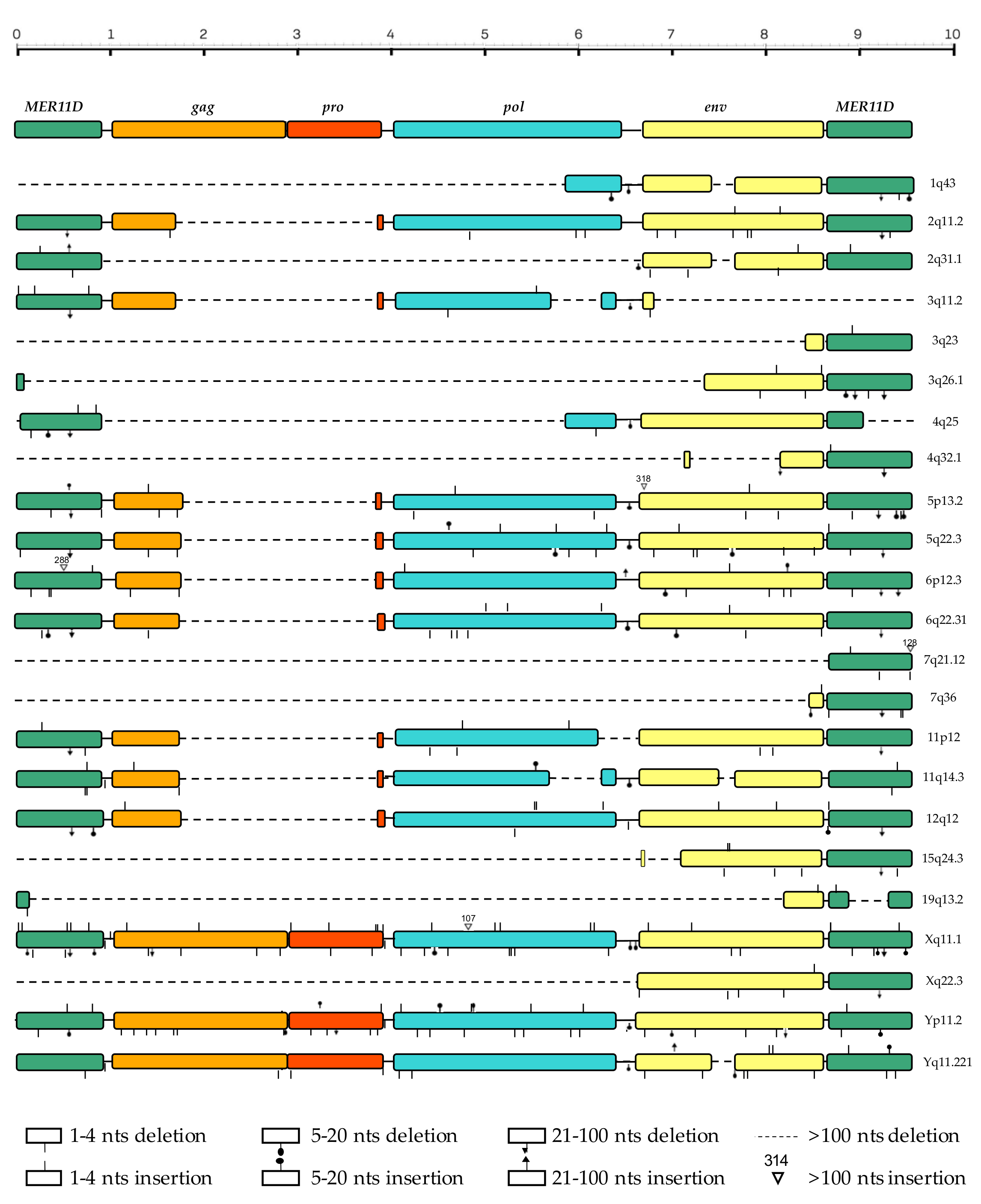 Biology 10 00439 g002