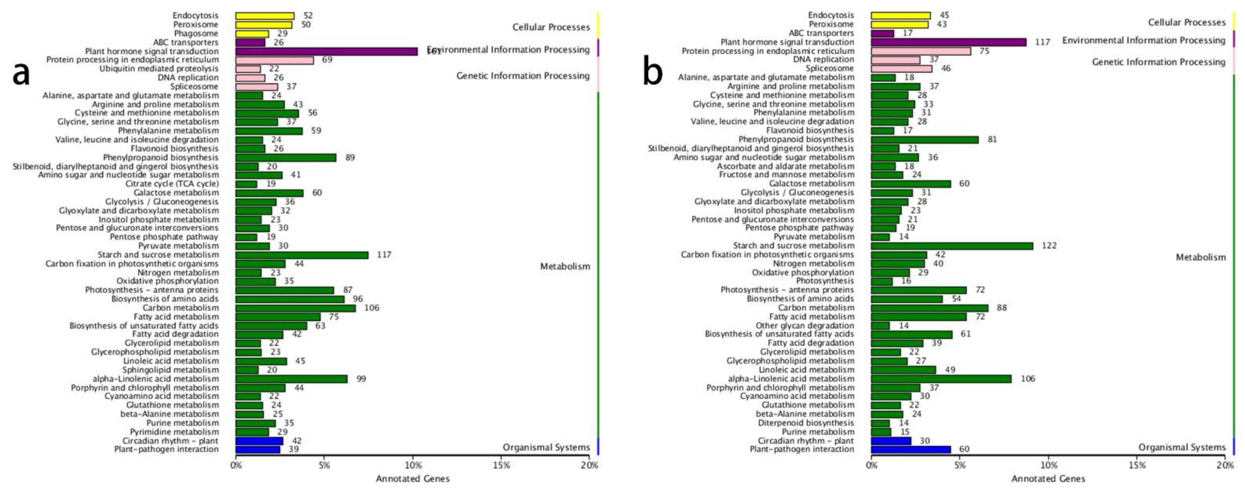 Biology 10 00440 g001 Biology 10 00440 g001
