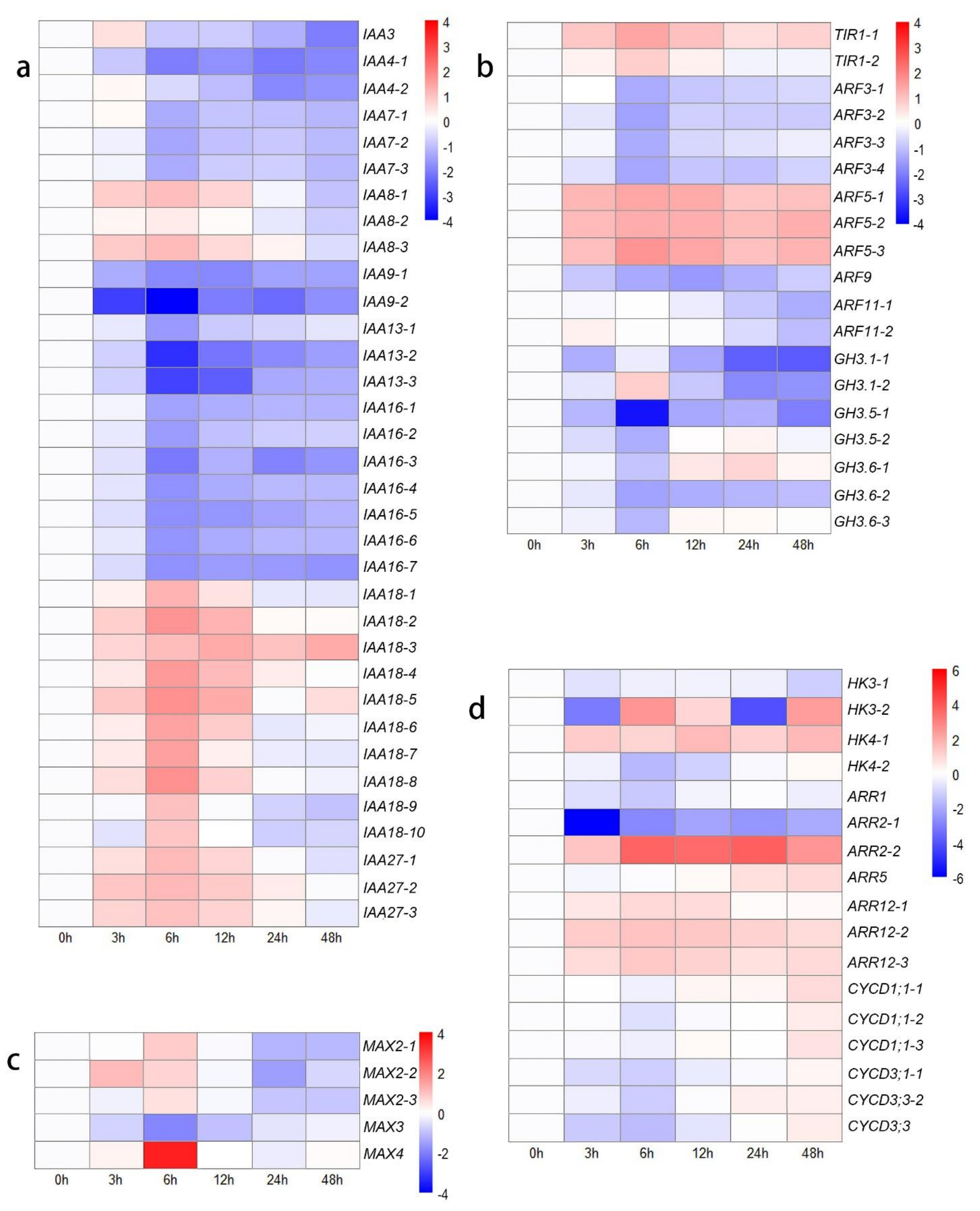Biology 10 00440 g002 Biology 10 00440 g002