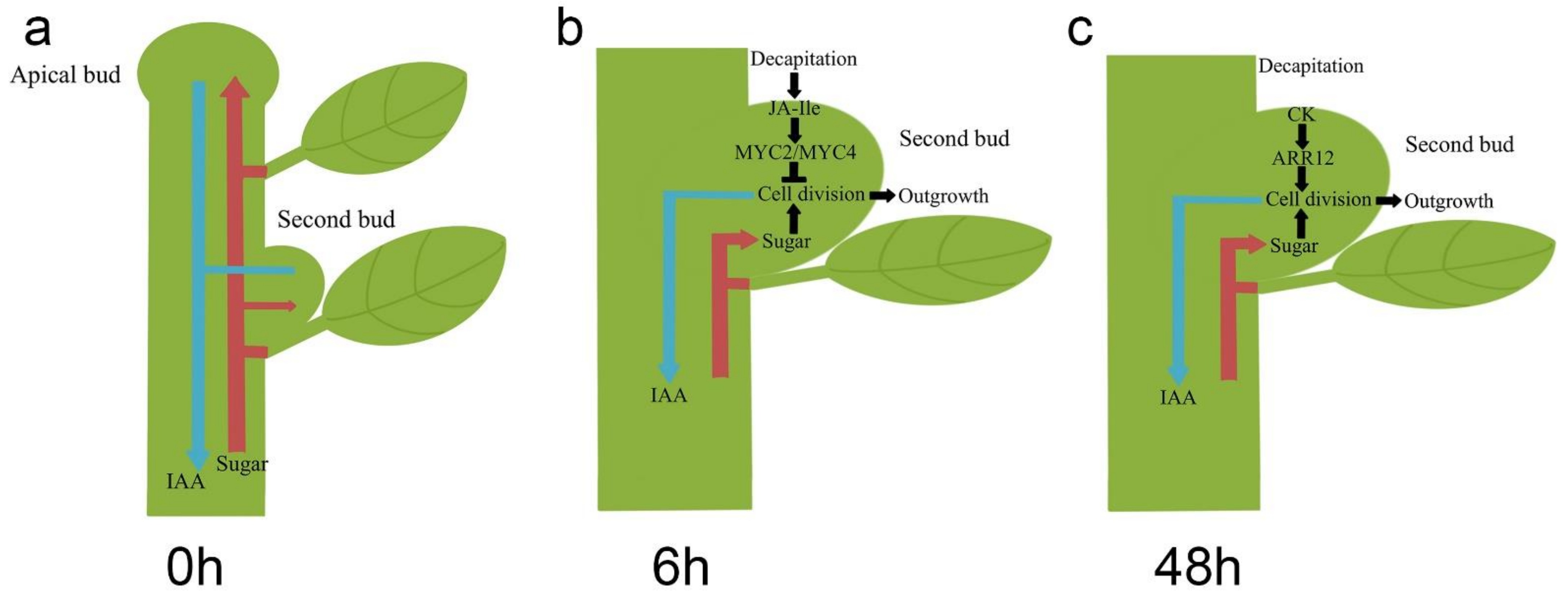 Biology 10 00440 g005 Biology 10 00440 g005