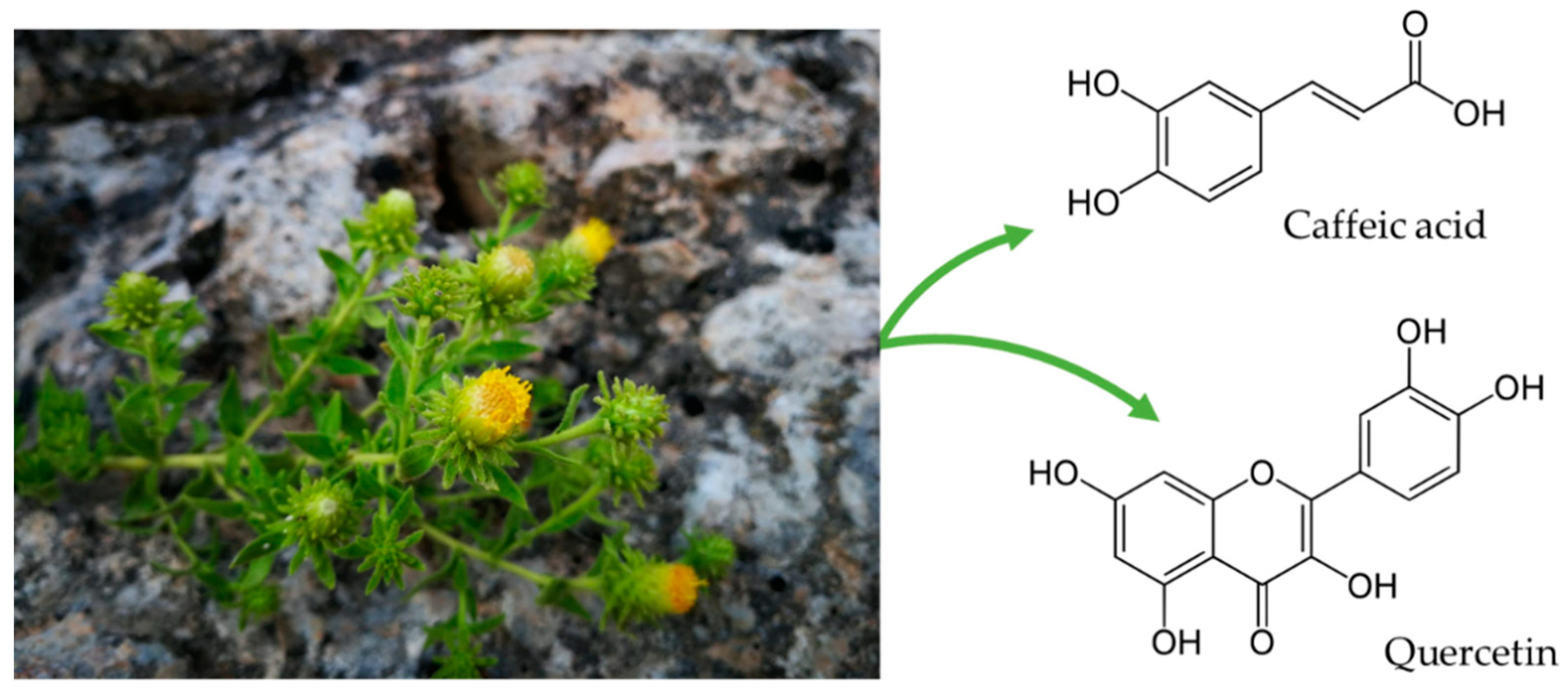 Biology 10 00443 g001 Biology 10 00443 g001