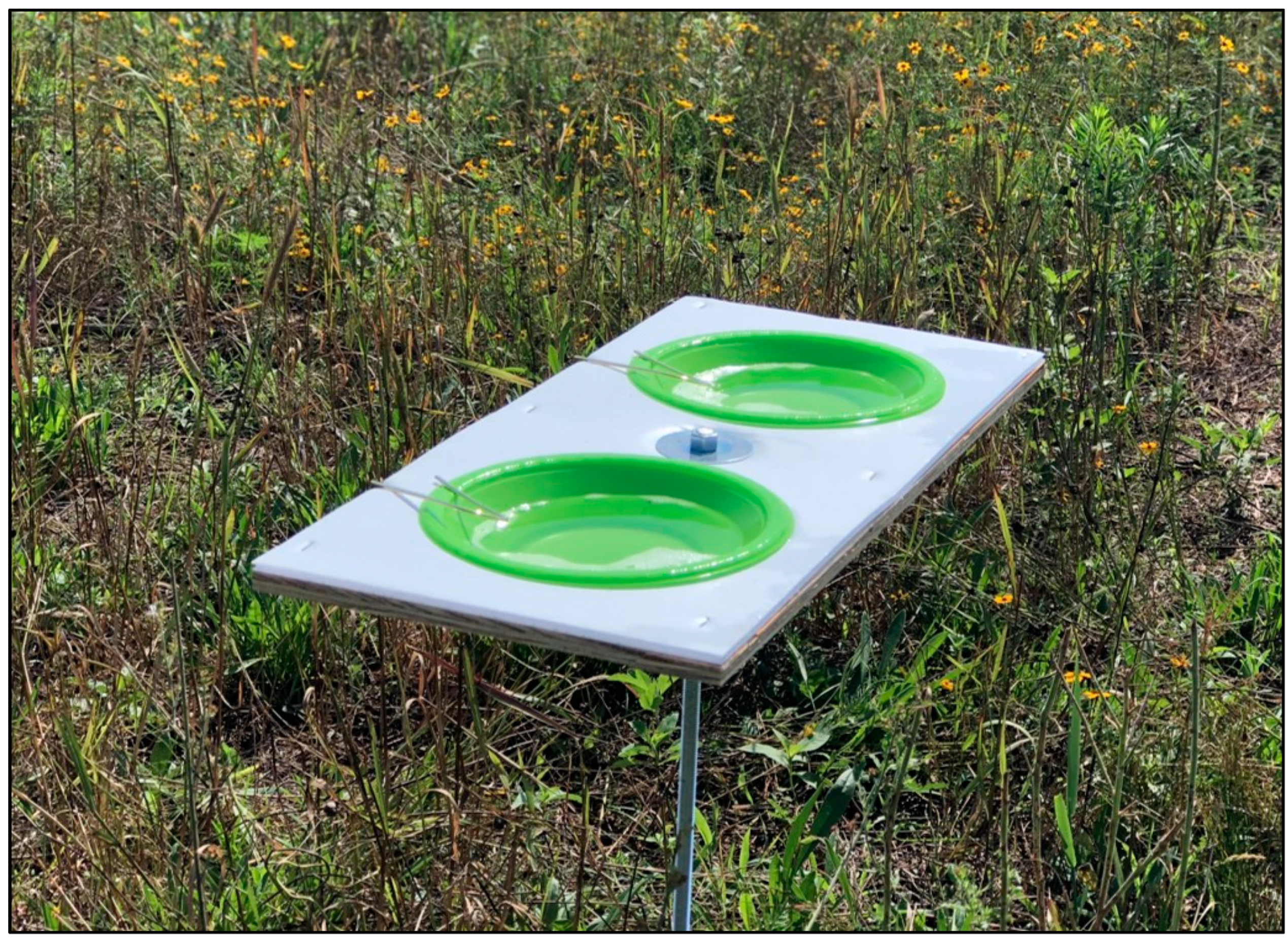 Biology 10 00445 g001 Biology 10 00445 g001