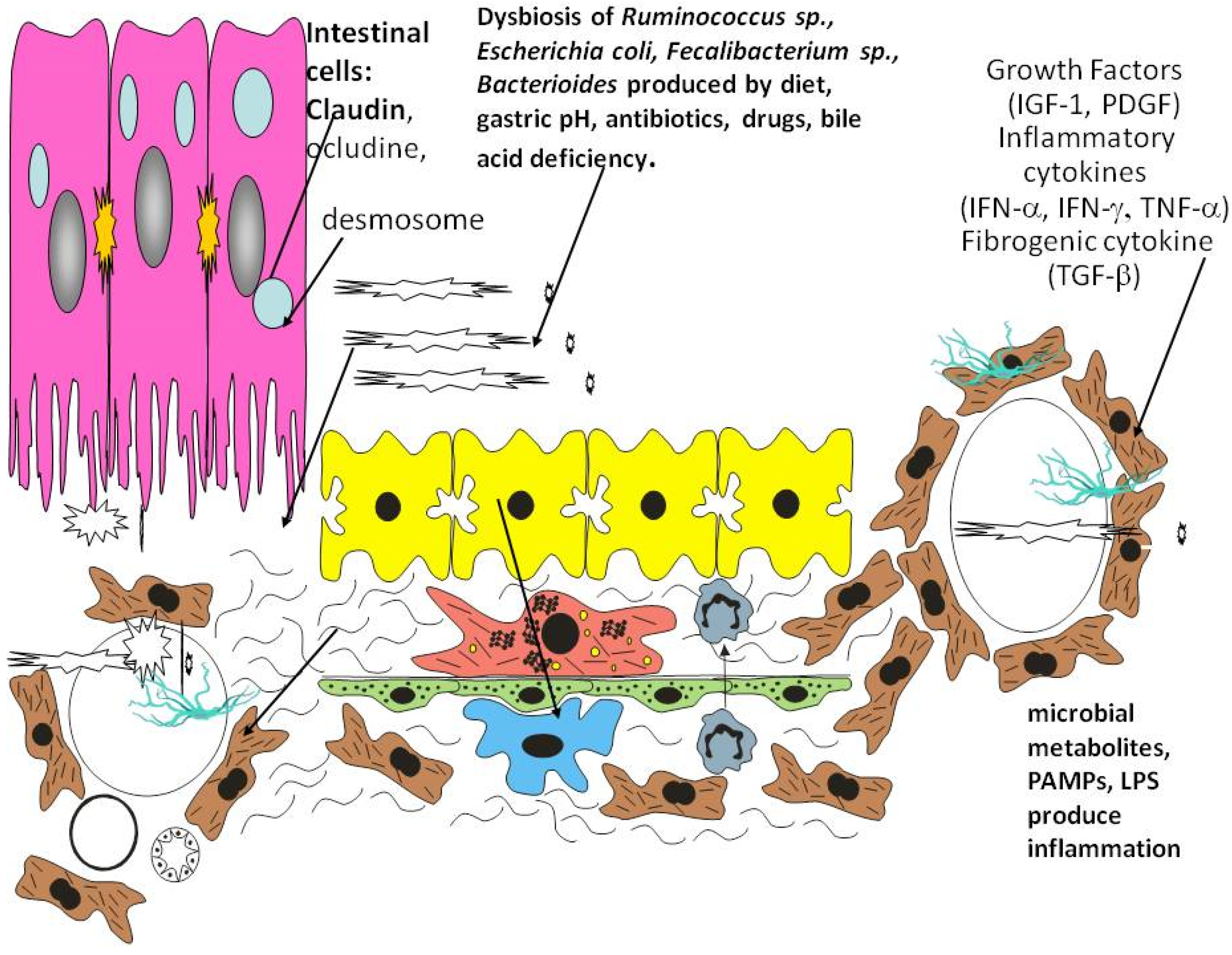 Biology 10 00447 g002