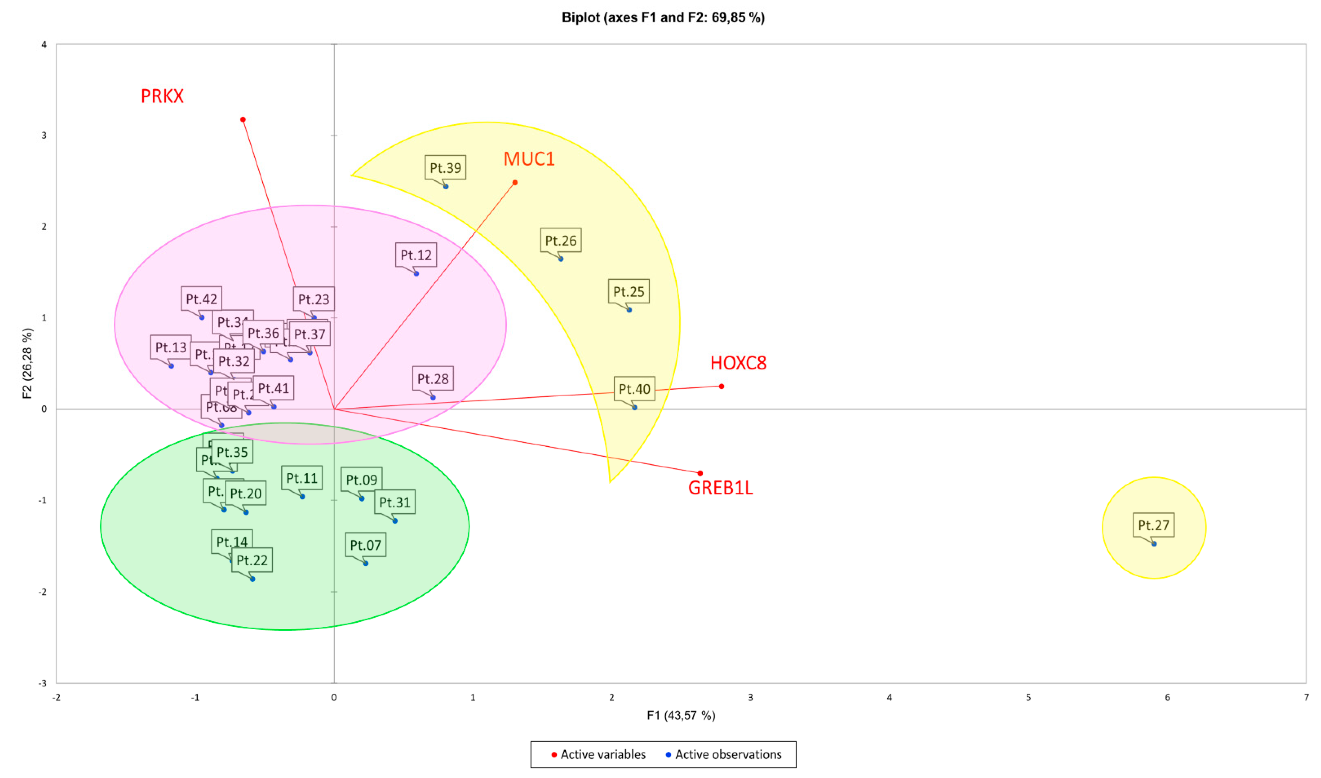 Biology 10 00450 g002