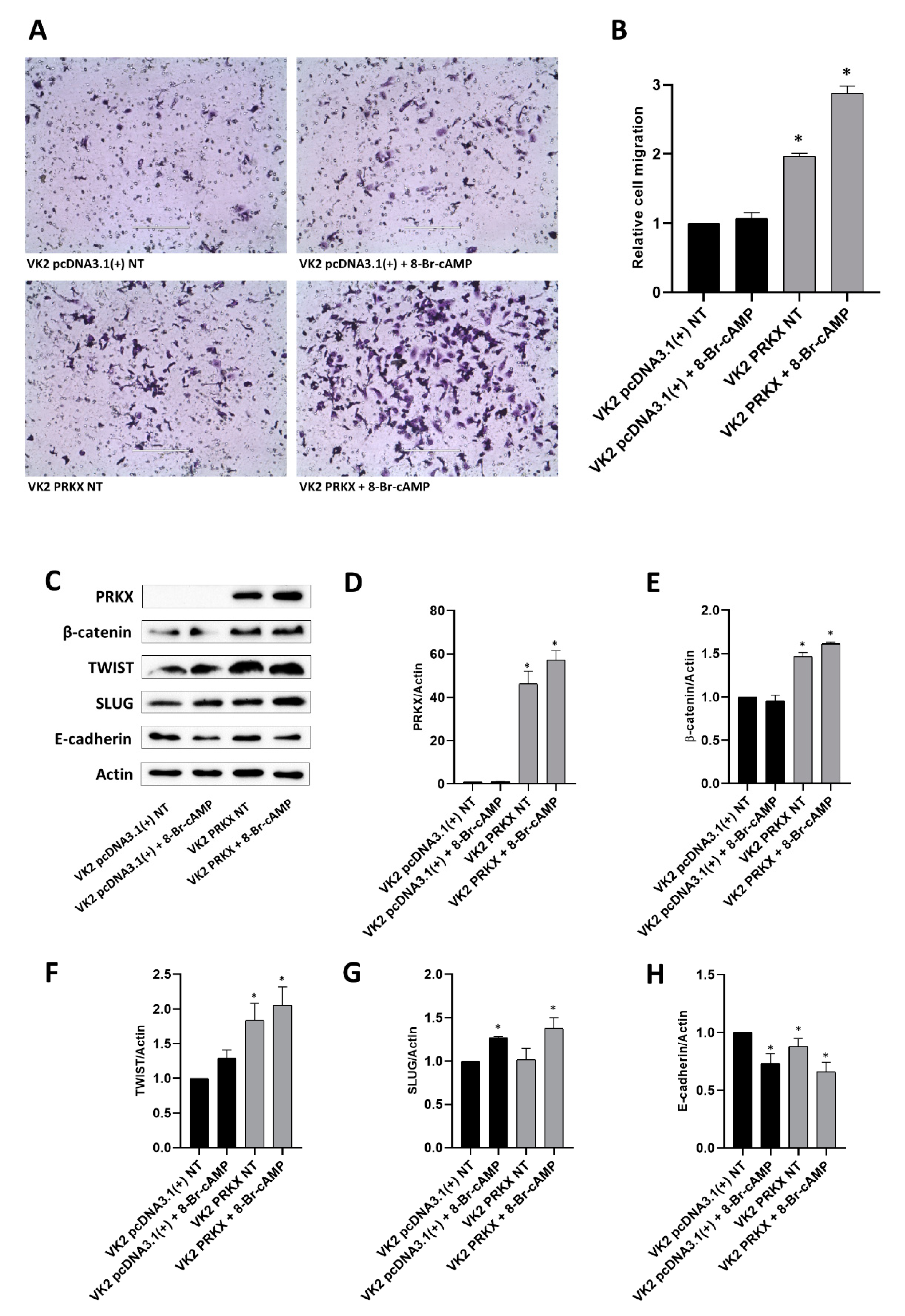 Biology 10 00450 g005
