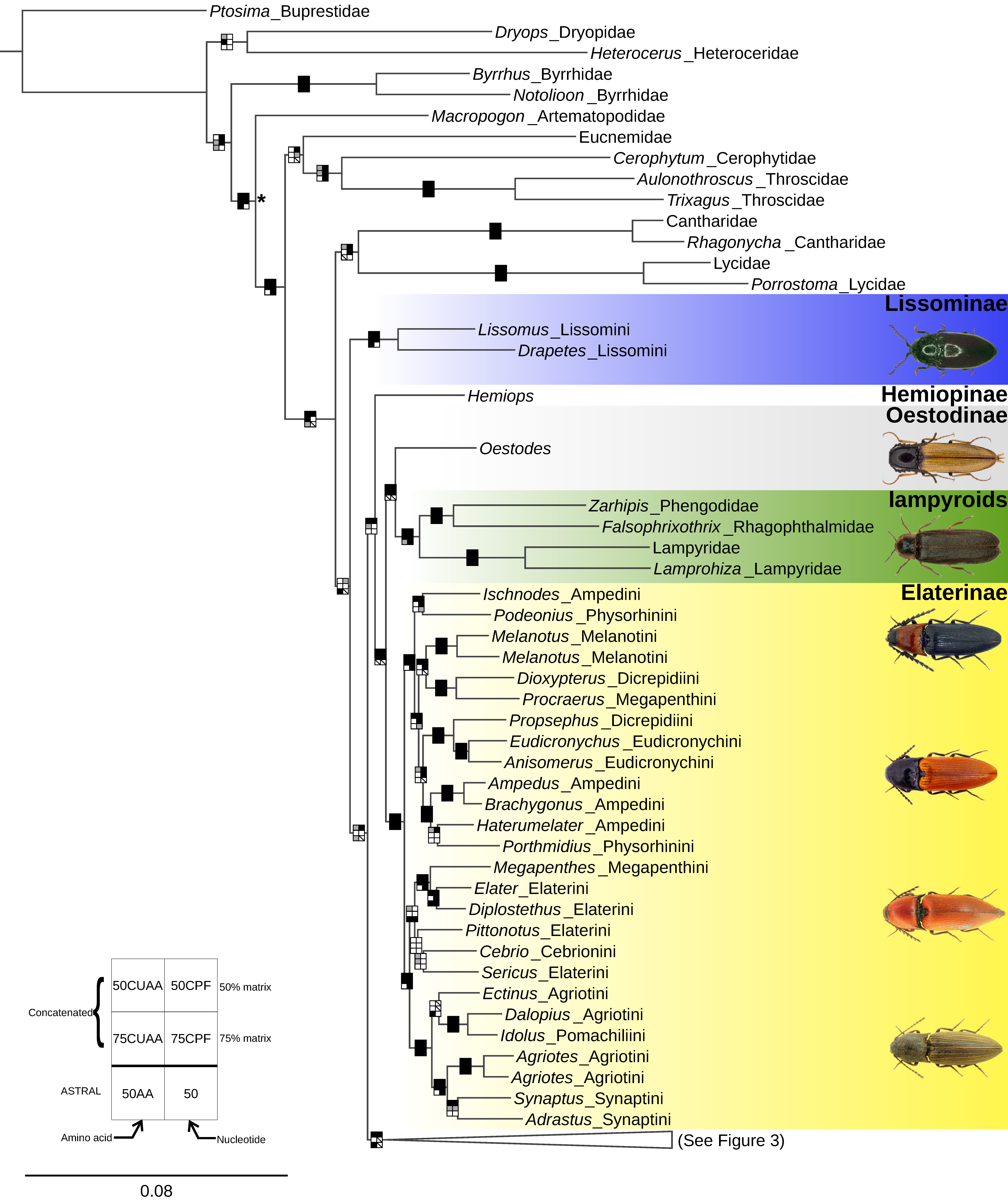 Biology 10 00451 g002 Biology 10 00451 g002