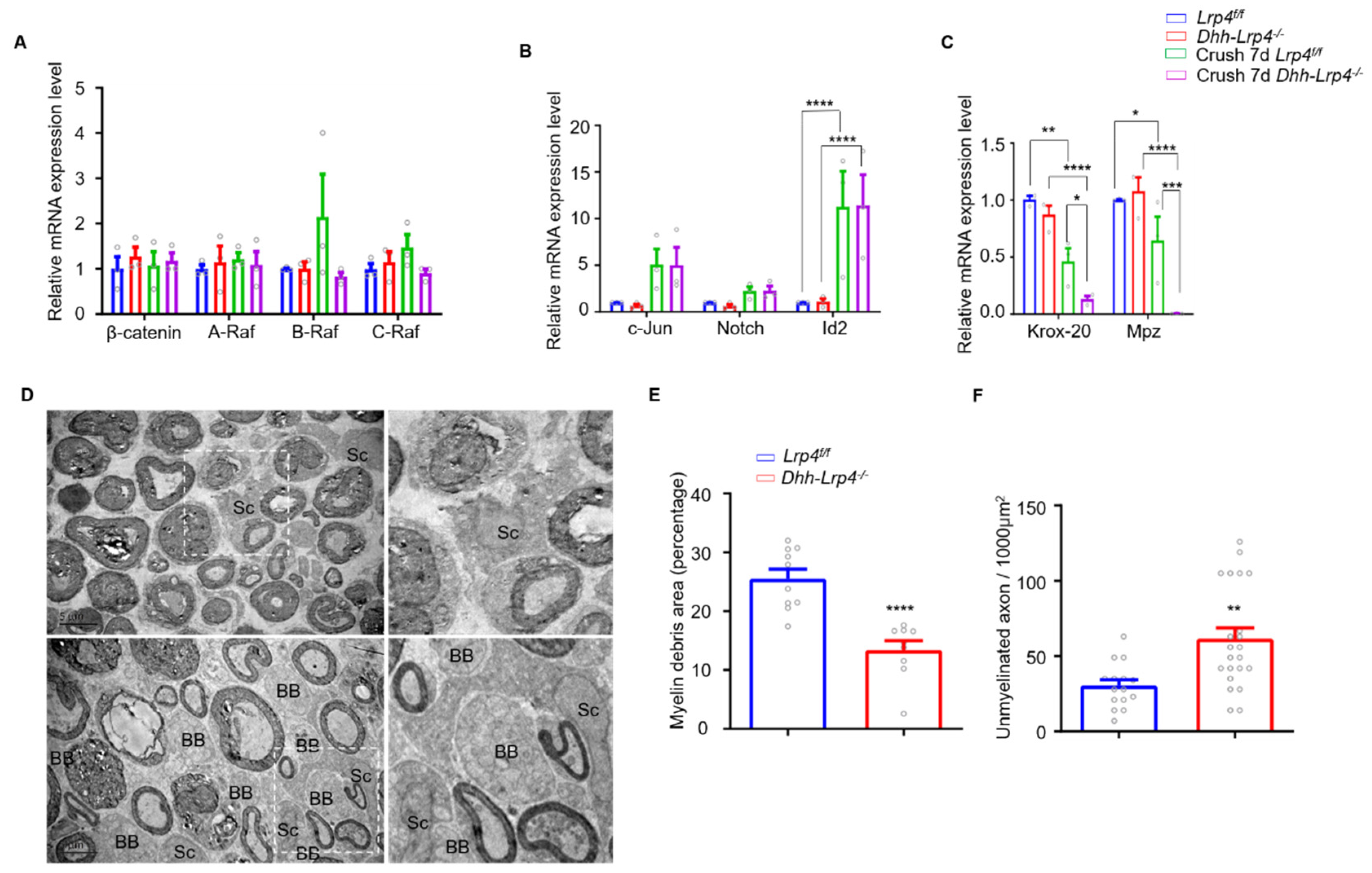 Biology 10 00452 g007 Biology 10 00452 g007