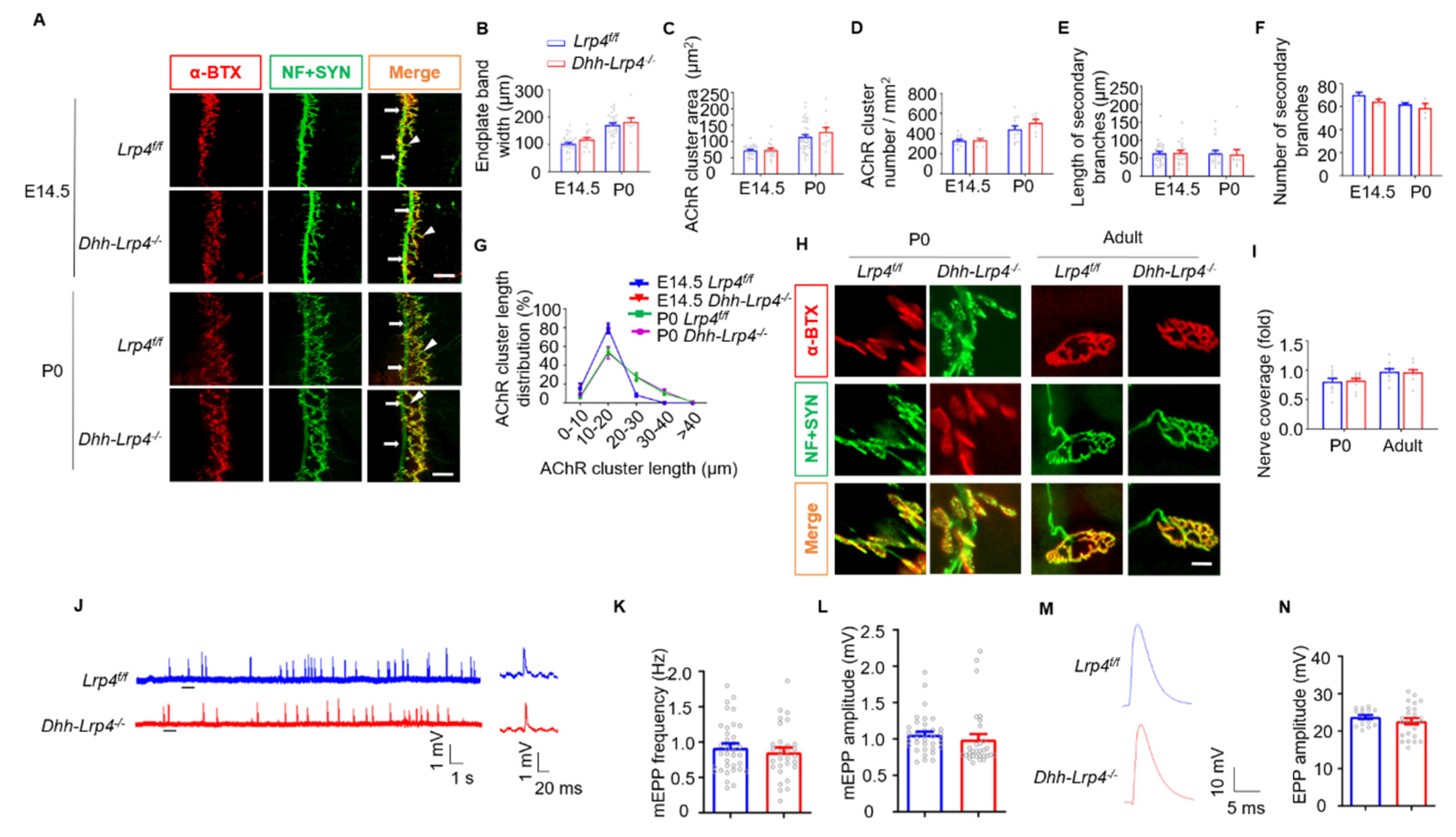 Biology 10 00452 g008 Biology 10 00452 g008