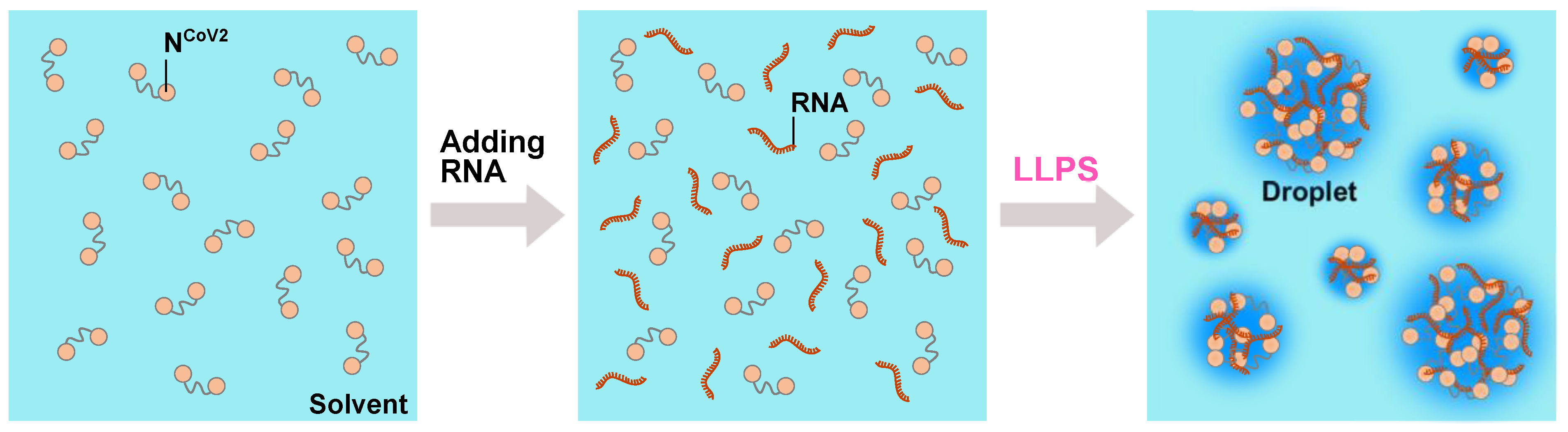 Biology 10 00454 g005 Biology 10 00454 g005