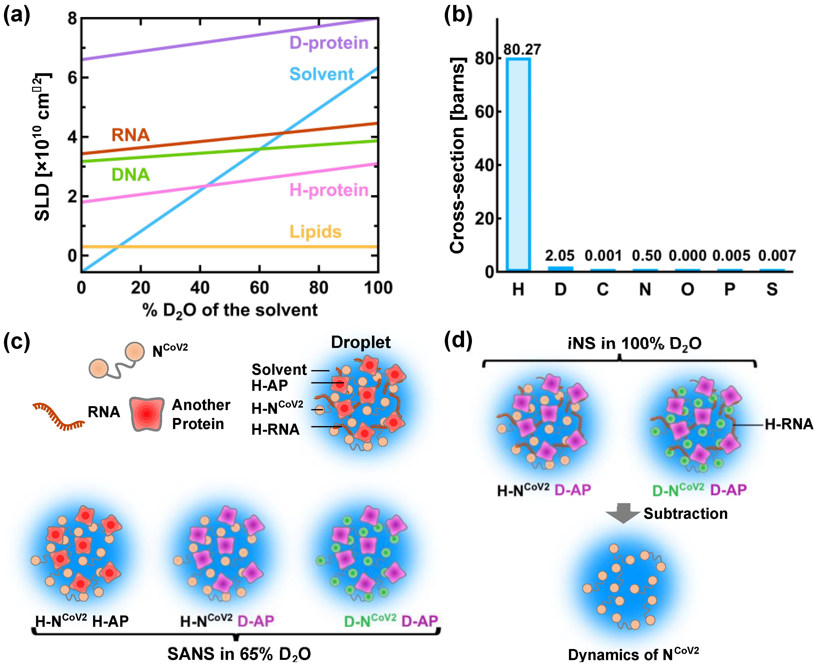 Biology 10 00454 g006 Biology 10 00454 g006